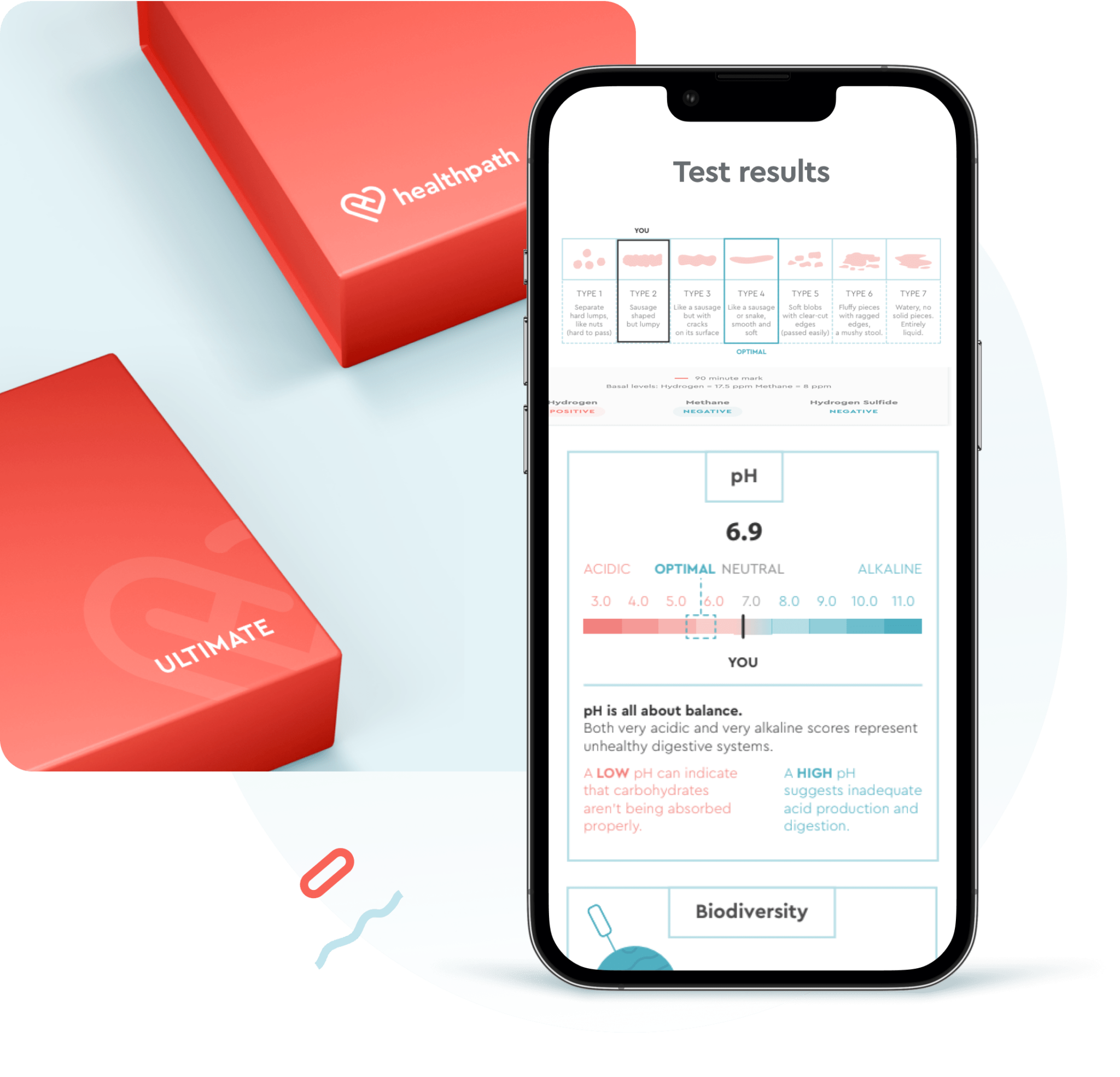 personalized gut health testing process
