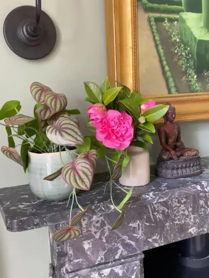 GREEN ROOM REVEAL &bull; So this lovely light filled room was a bit dark and full of sofas that had been loved for three decades. 

A fresh green palette with new lighting, re upholstered sofa and new furnishings has created a soft comfortable recept