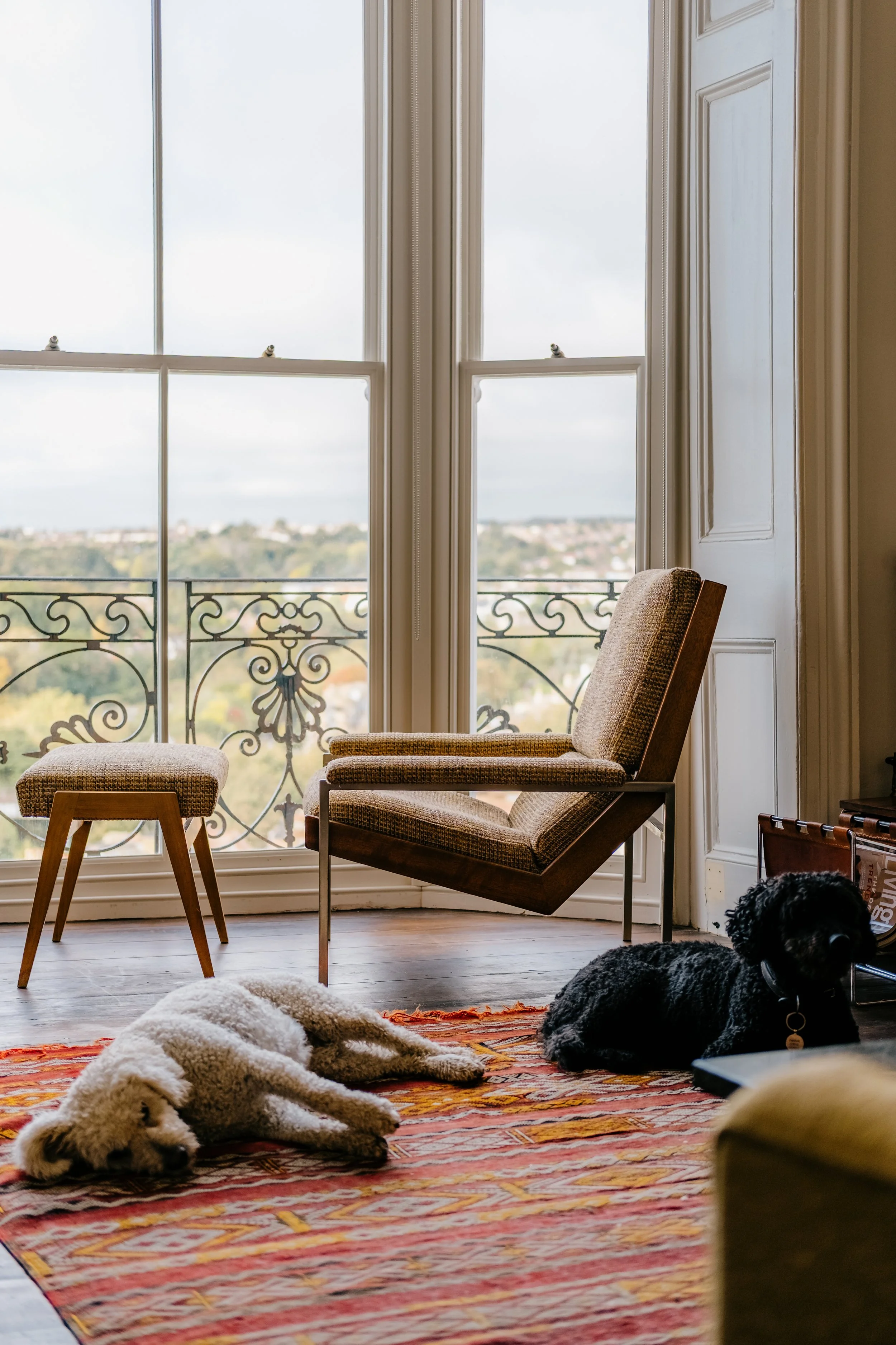 Rob Parry chair in a window, two family dogs laying on the floor