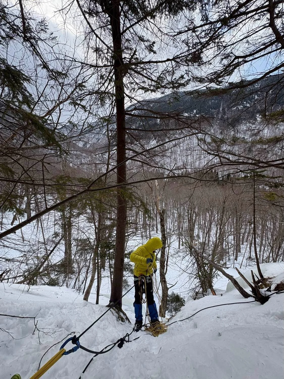 We had some great days of ice climbing skill development last month. There&rsquo;s nothing quite like honing technical systems in an ice climbing environment!

#iceclimbing #climbing #climbvt #smugglersnotch #petracliffs