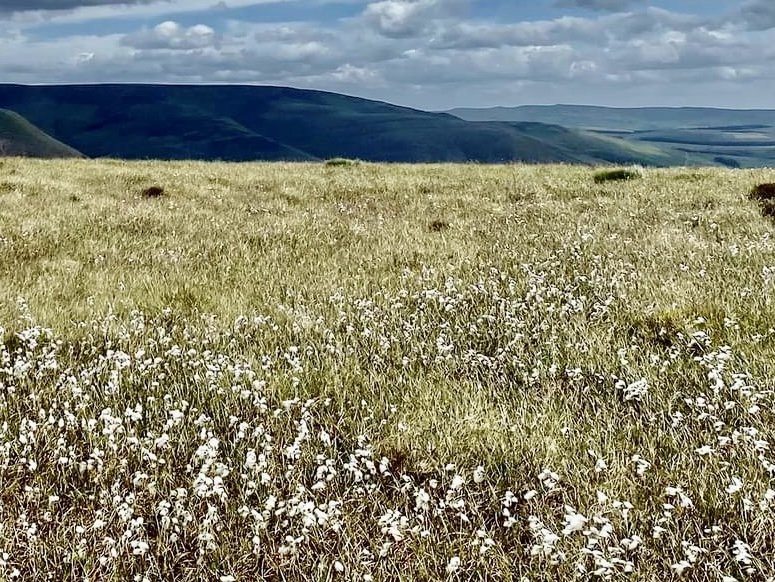 edale-0.jpg