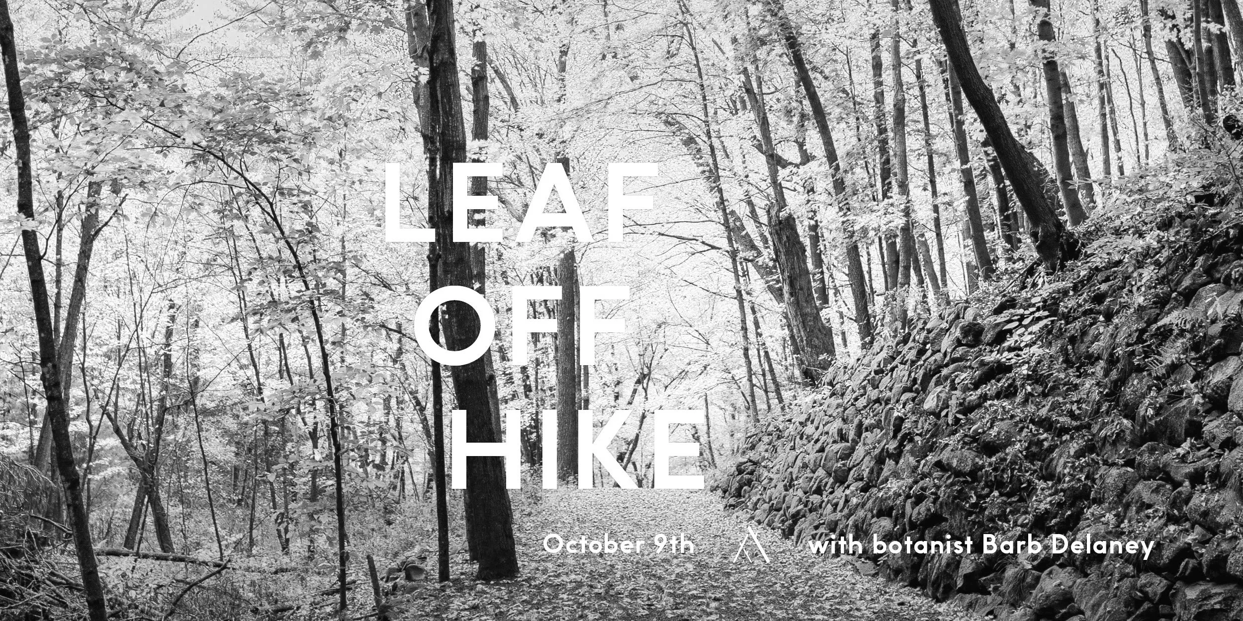 Leaf Off Hike with Botanist Barb Delaney