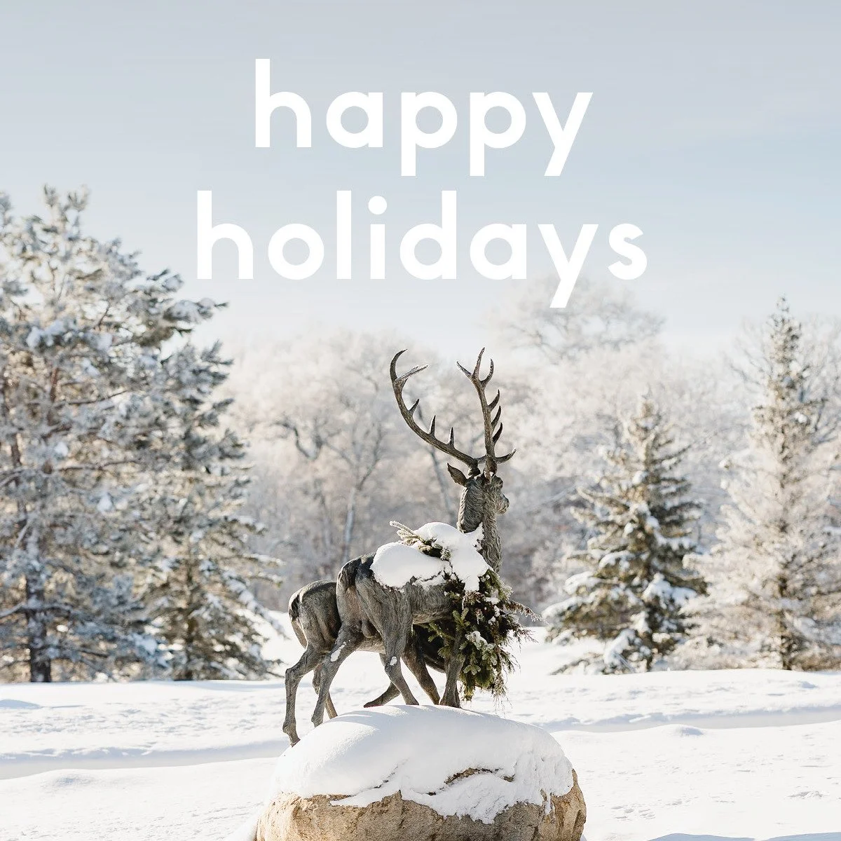 Happy holidays from the staff and board of trustees at The Acreage! We wish you good tidings, warmth, and a bright 2026.