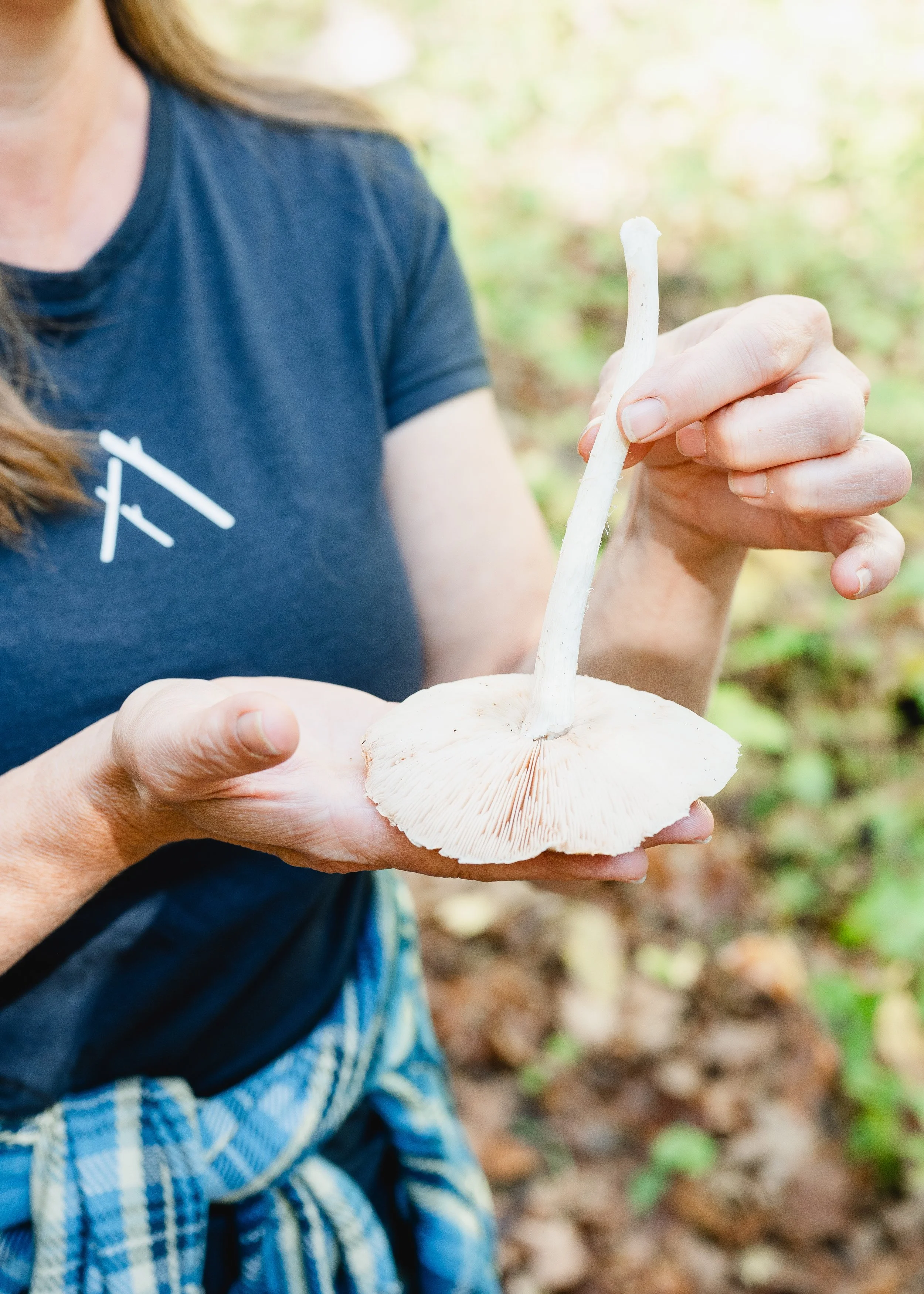 Mushroom Foraging Workshop_The Acreage 2024-44.jpg