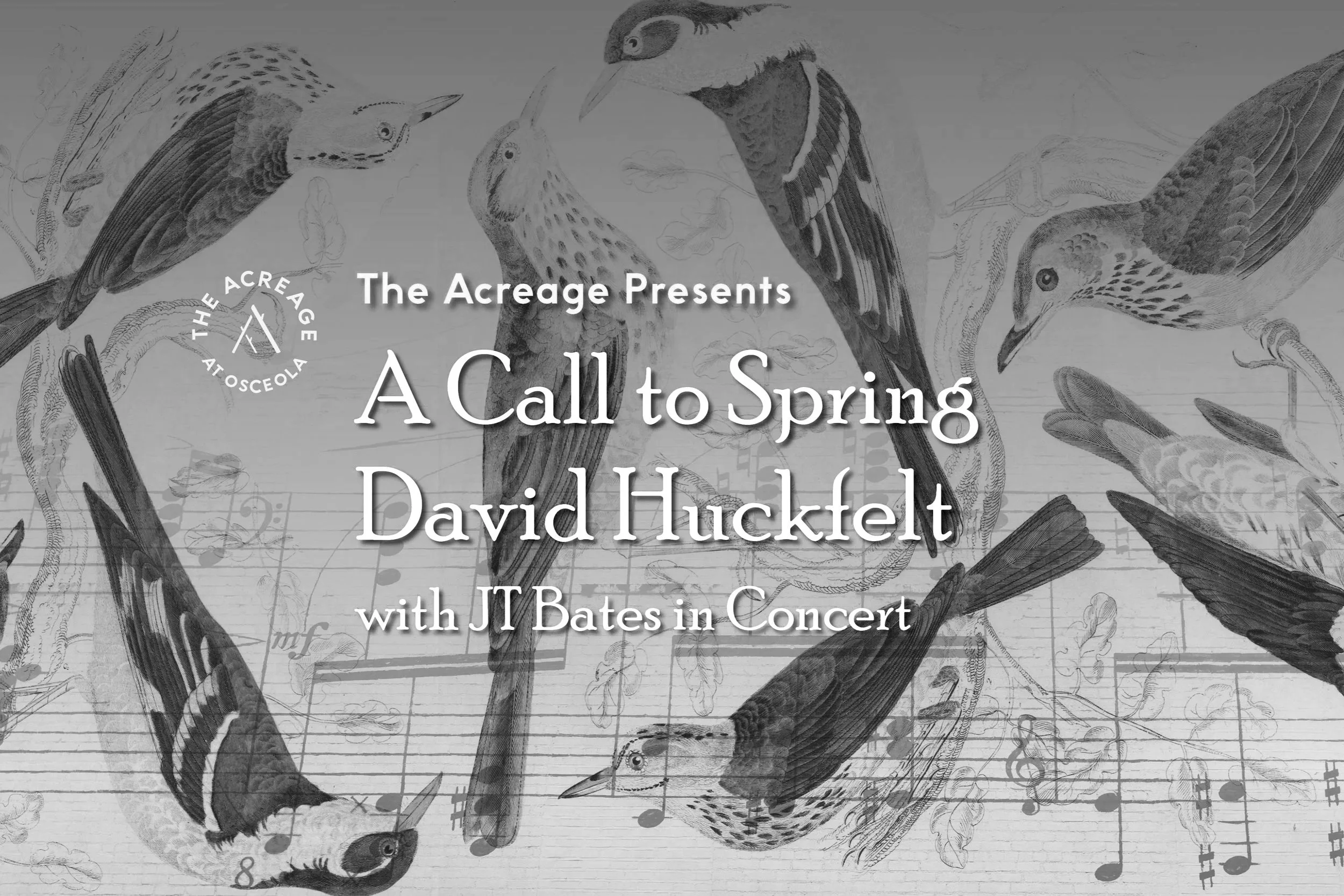A Call to Spring - David Huckfelt in Concert
