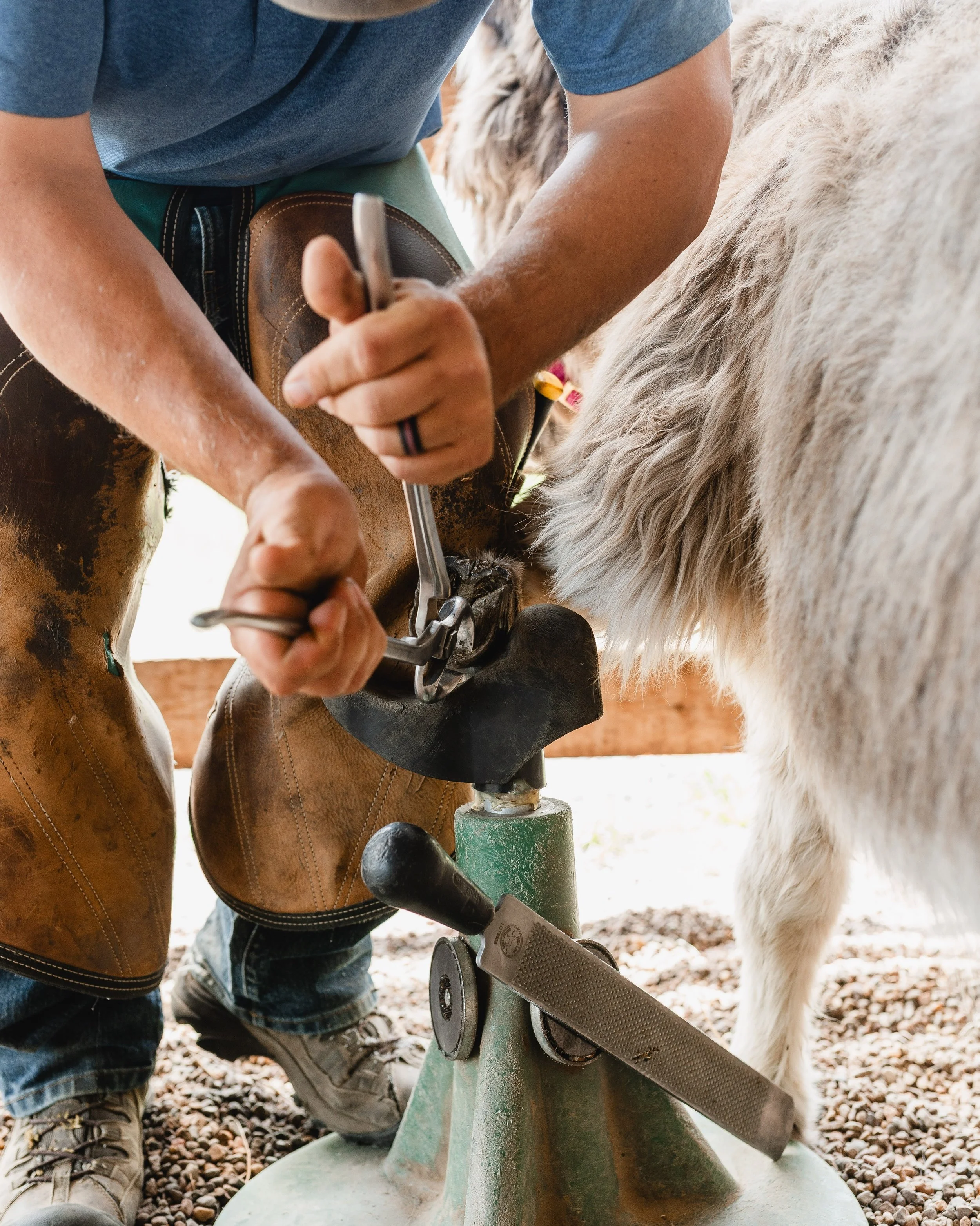Pedicures at The Acreage barn
