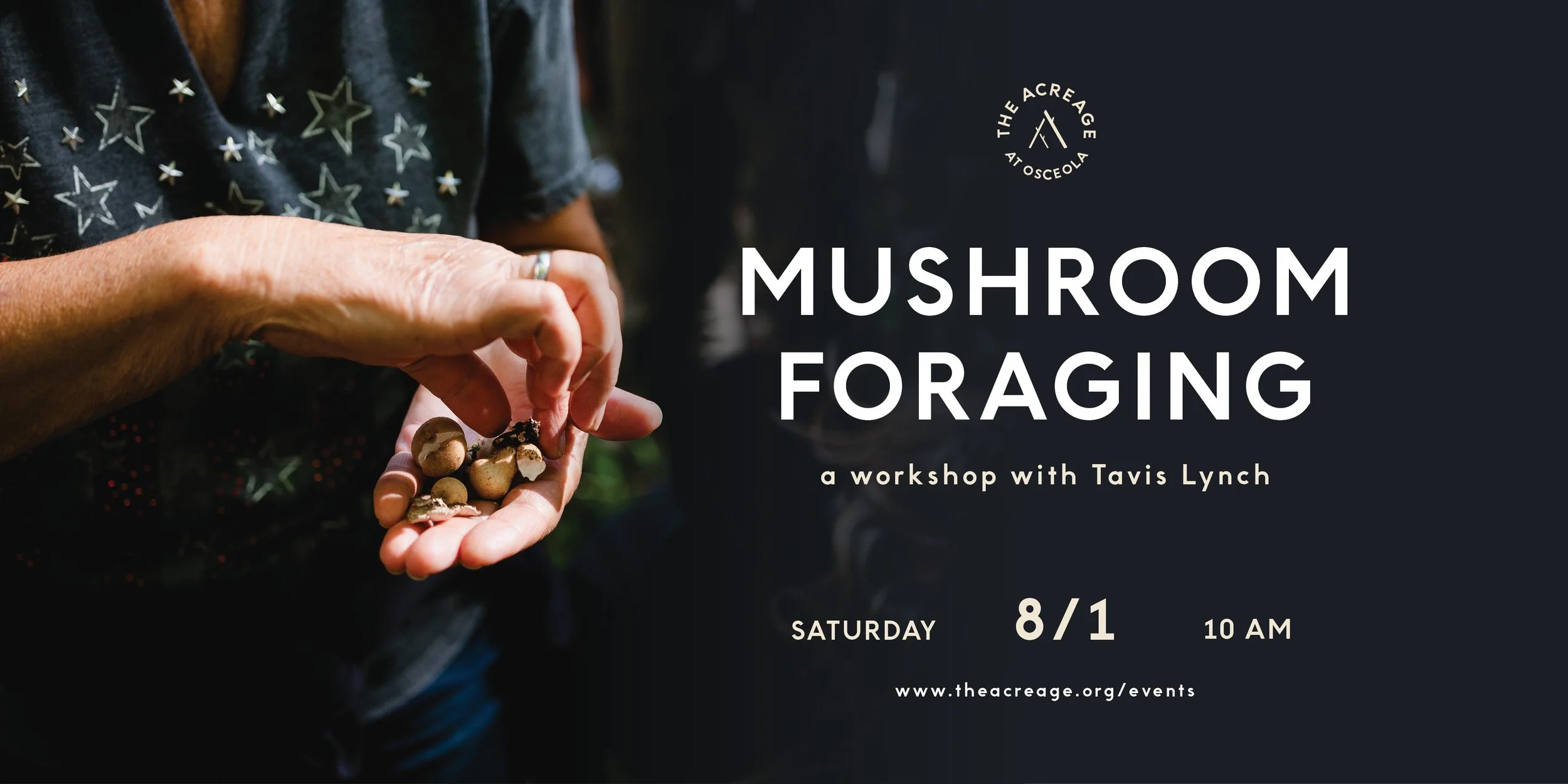 Mushroom Foraging: A Workshop with Tavis Lynch