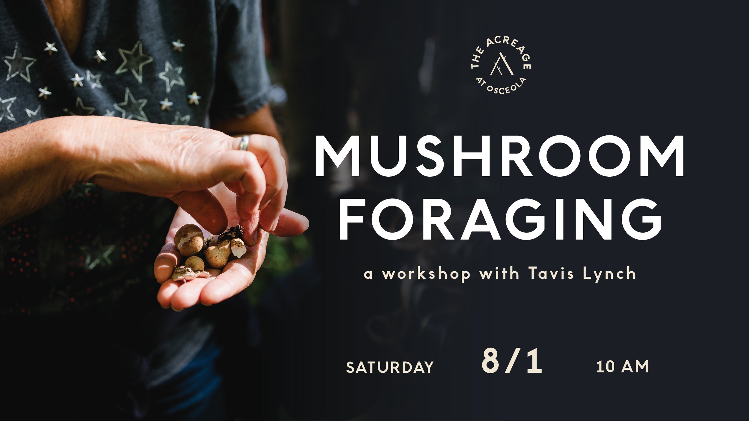 Mushroom Foraging: A Workshop with Tavis Lynch
