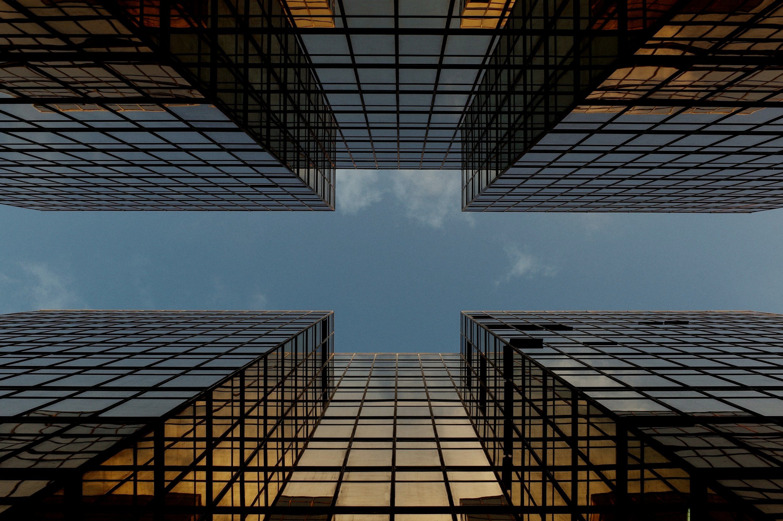 Legal Protections and Remedies for Minority Shareholders in Private Companies