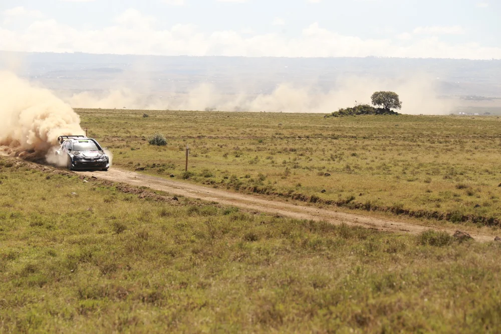 Safari Rally — Pana Ranch II