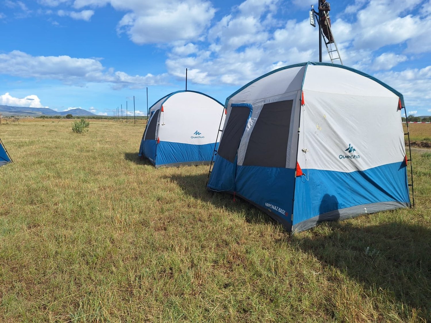 Safari Rally — Pana Ranch II