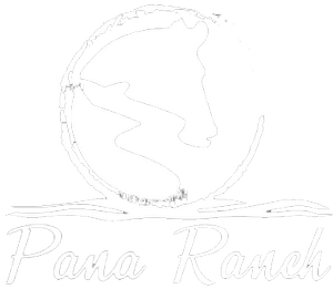 House Types — Pana Ranch II