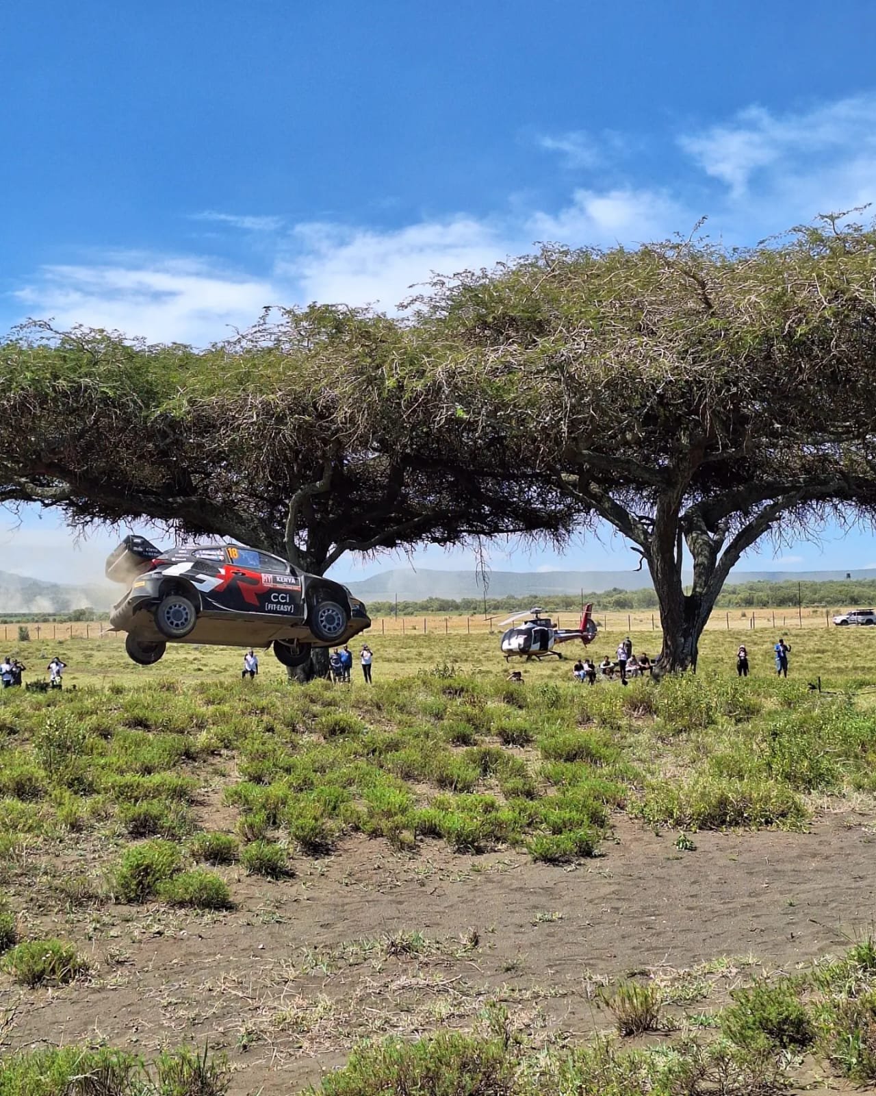 Safari Rally — Pana Ranch II