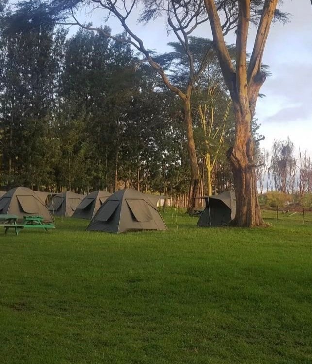 Safari Rally โ Pana Ranch II