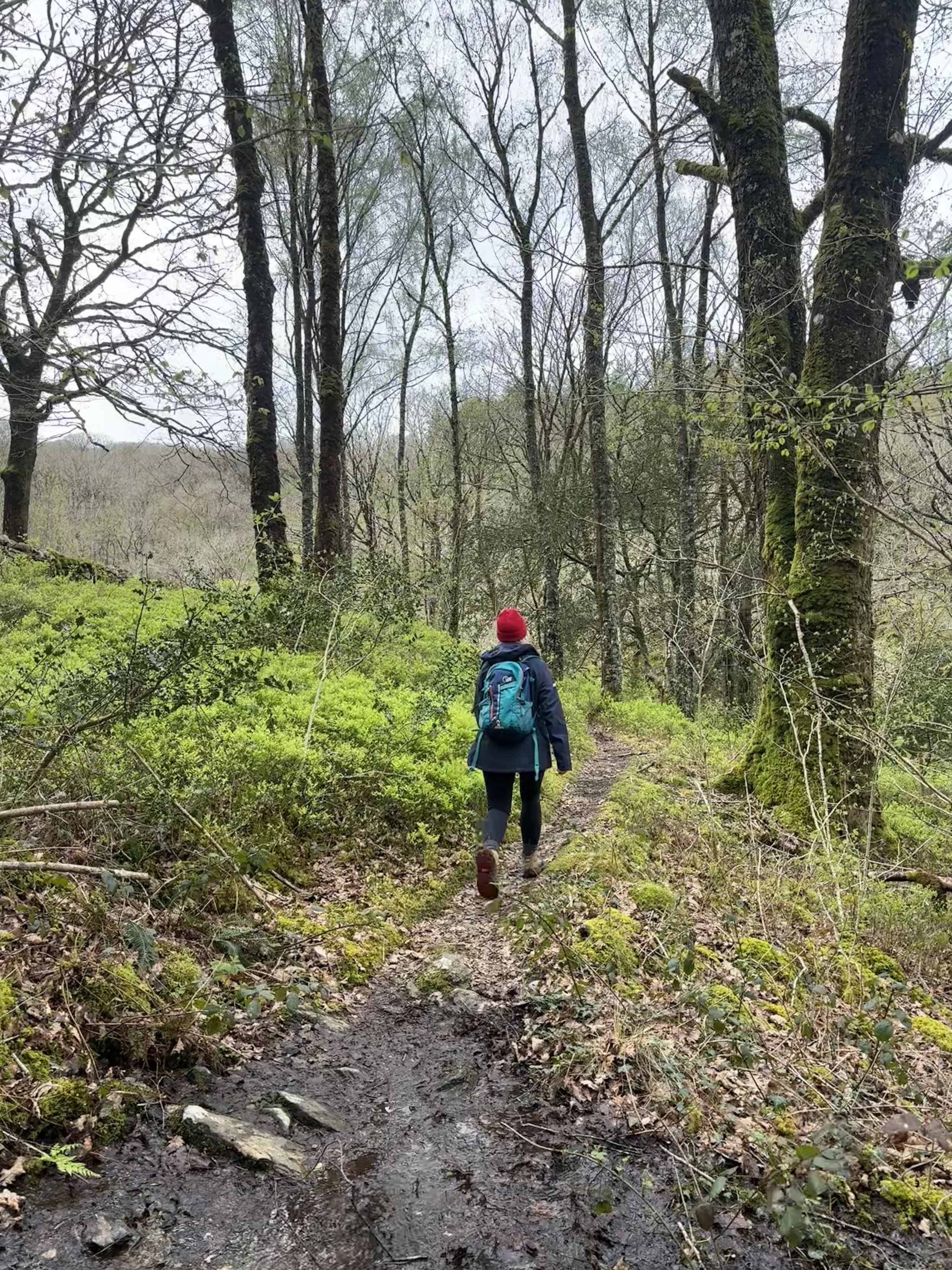 hiking, waterfalls, & Bbq with lottie