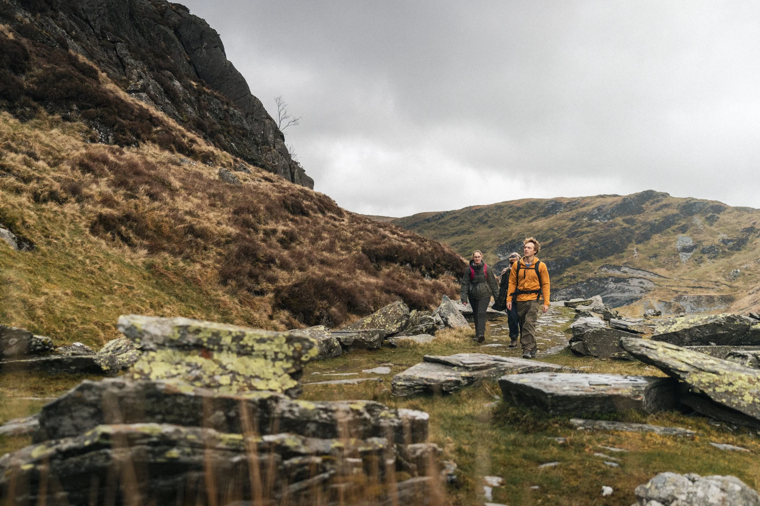 Explore Eryri: An Exclusive Guided Walk for Plas Weunydd Guests