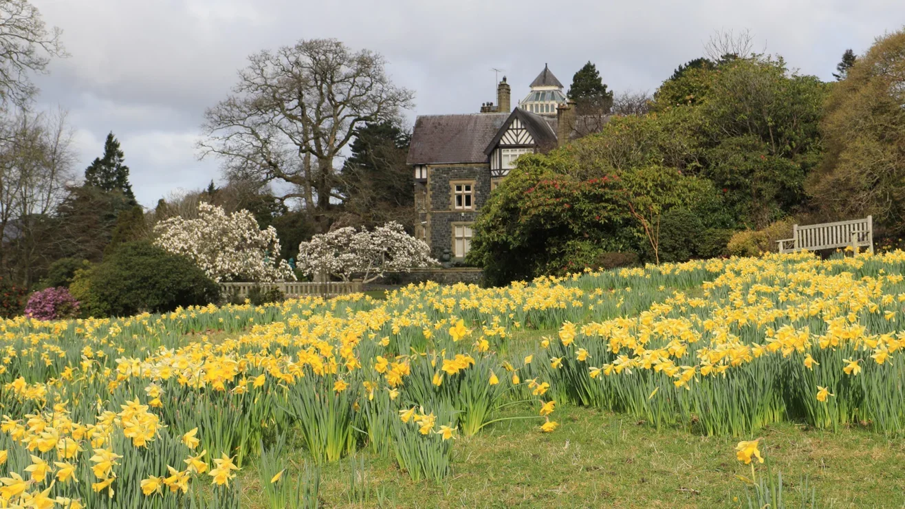 WHAT’S ON this March