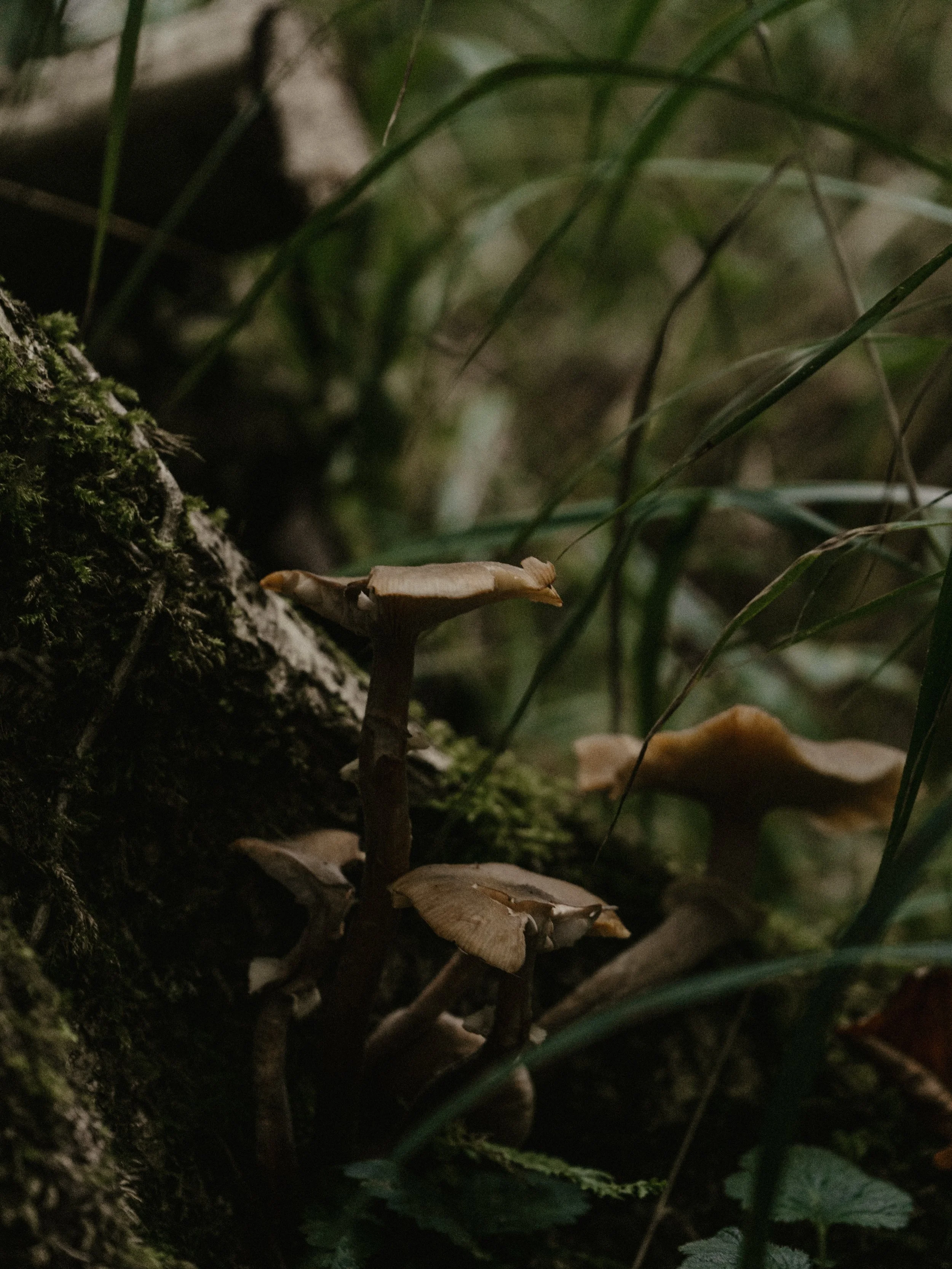 WHAT’S ON this Autumn