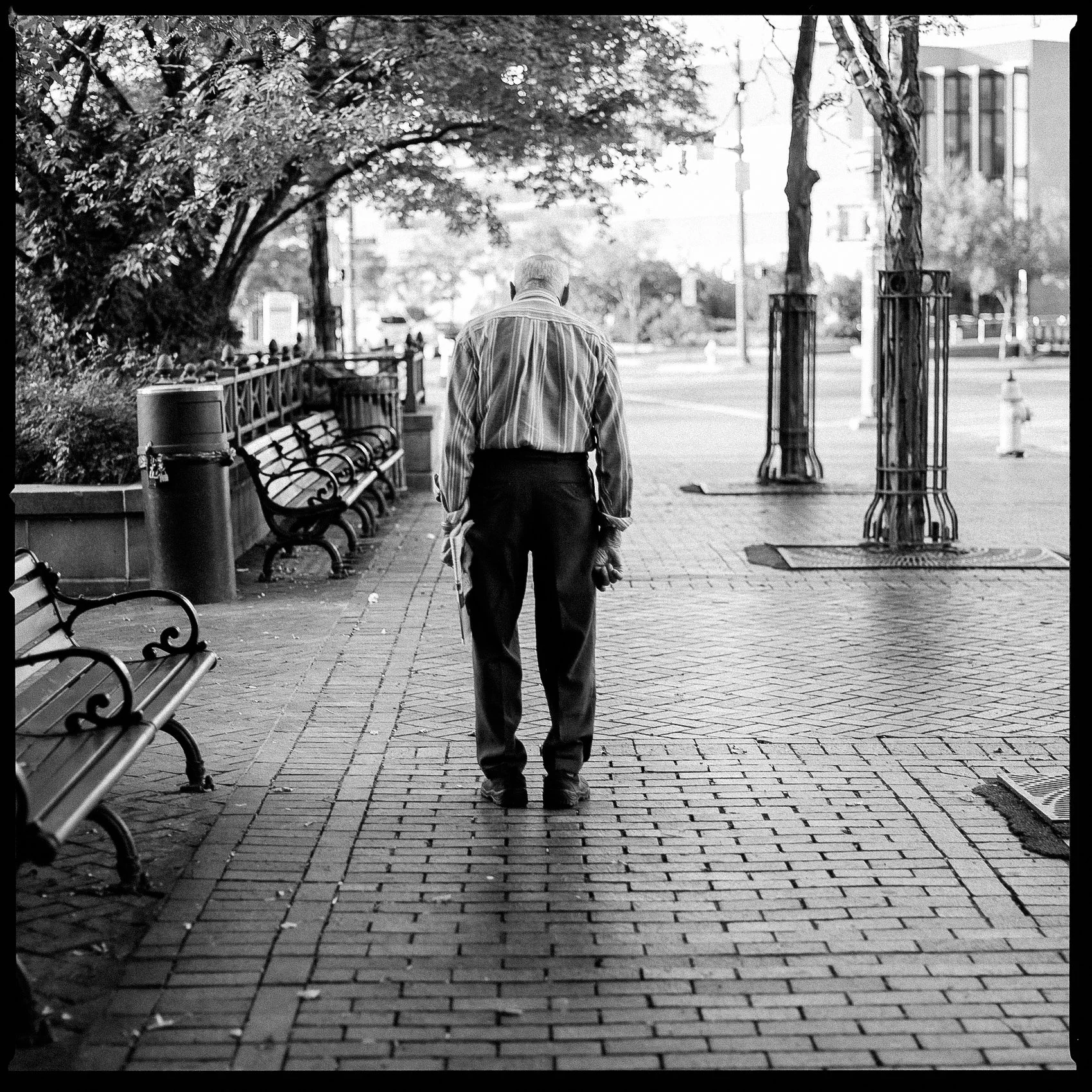 Stranger In Rochester.jpg