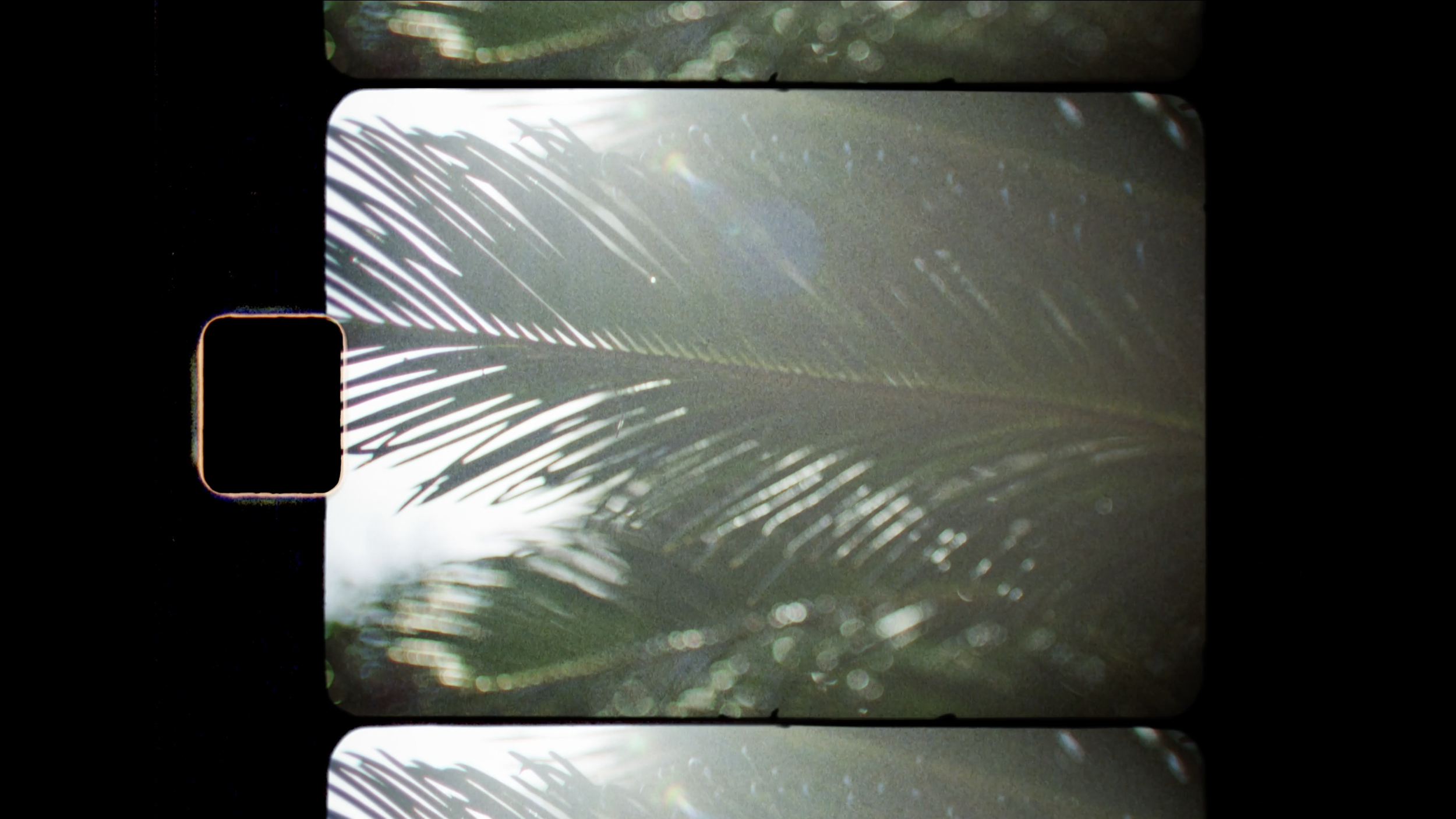 taylor_stitch-27.png