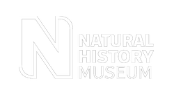 Natural History Museum logo, an iconic London event space where Halos Music performs premium live entertainment for exclusive corporate parties and award ceremonies.