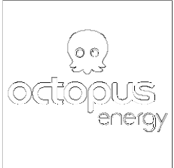 Octopus Energy client logo, demonstrating Halos Music's popularity as a fun, interactive party band for modern company socials and vibrant corporate festivals.