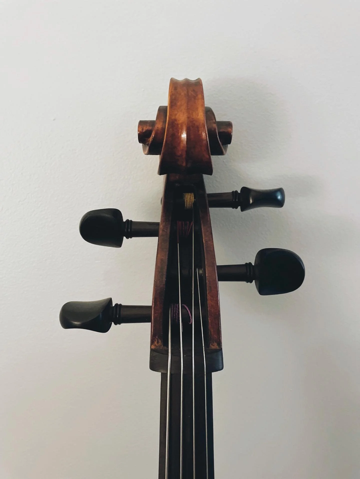 If you&rsquo;re still feeling in the holiday spirit, then don&rsquo;t forget to celebrate International Cello Day! 🎶💗