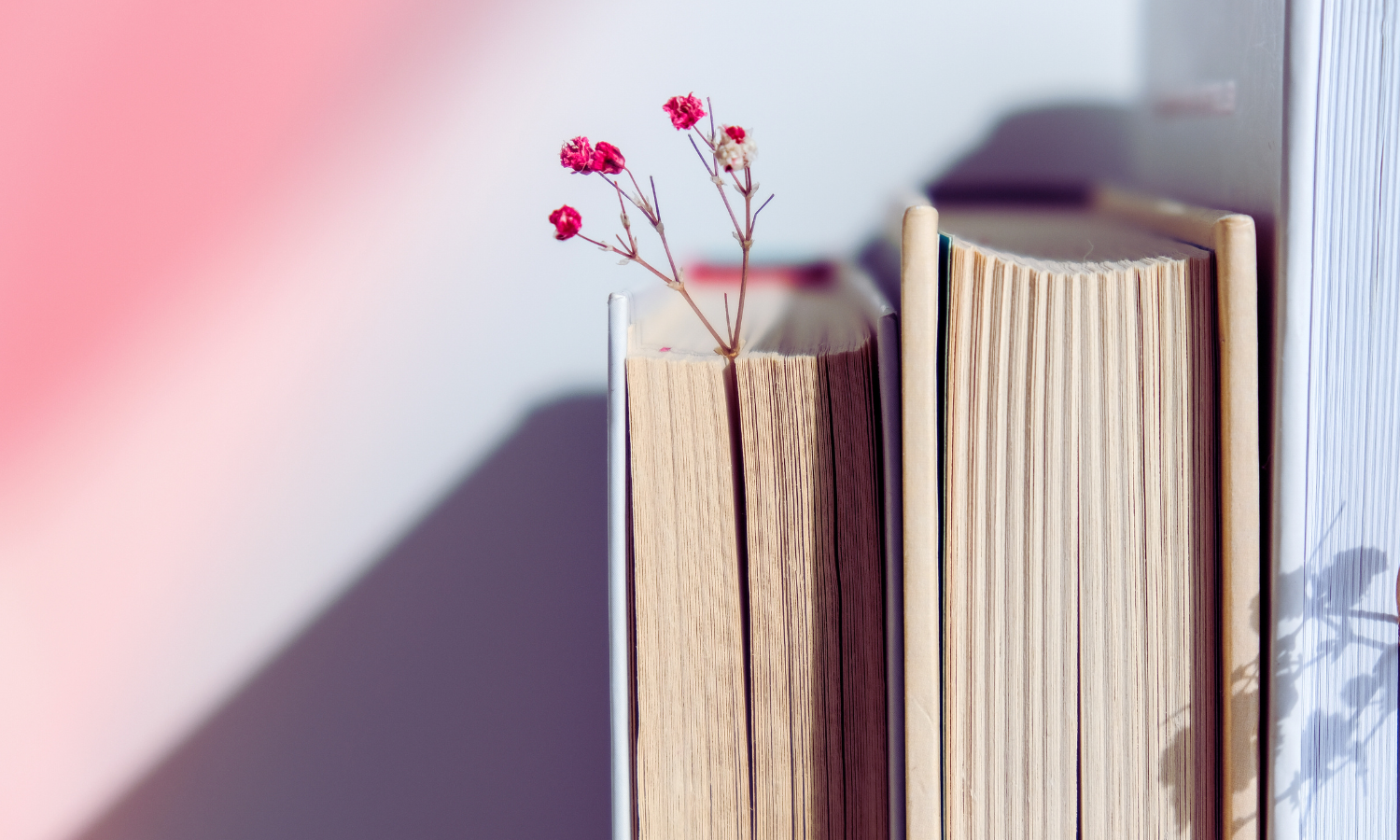 Recommended Reading for Valentine’s Day