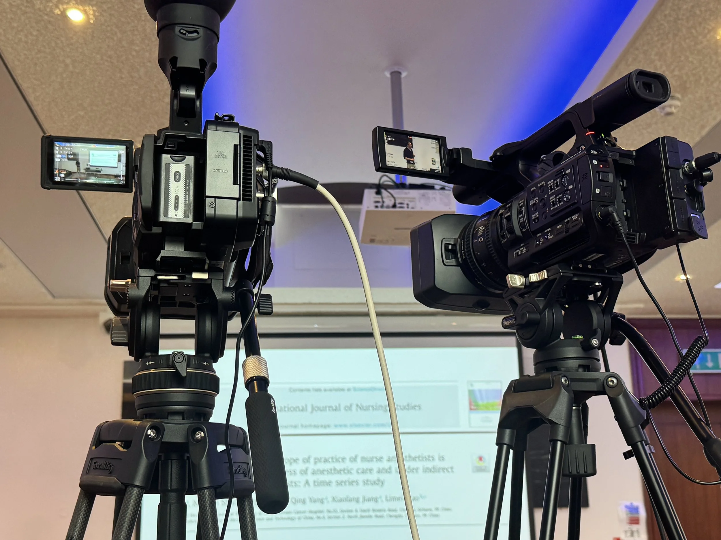 What Makes a Good Hybrid Event?