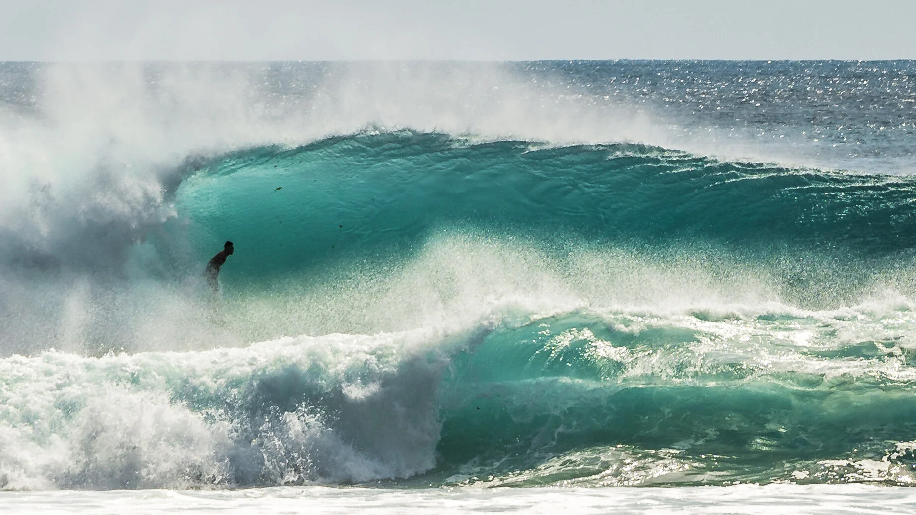 Padang beast-2.jpg