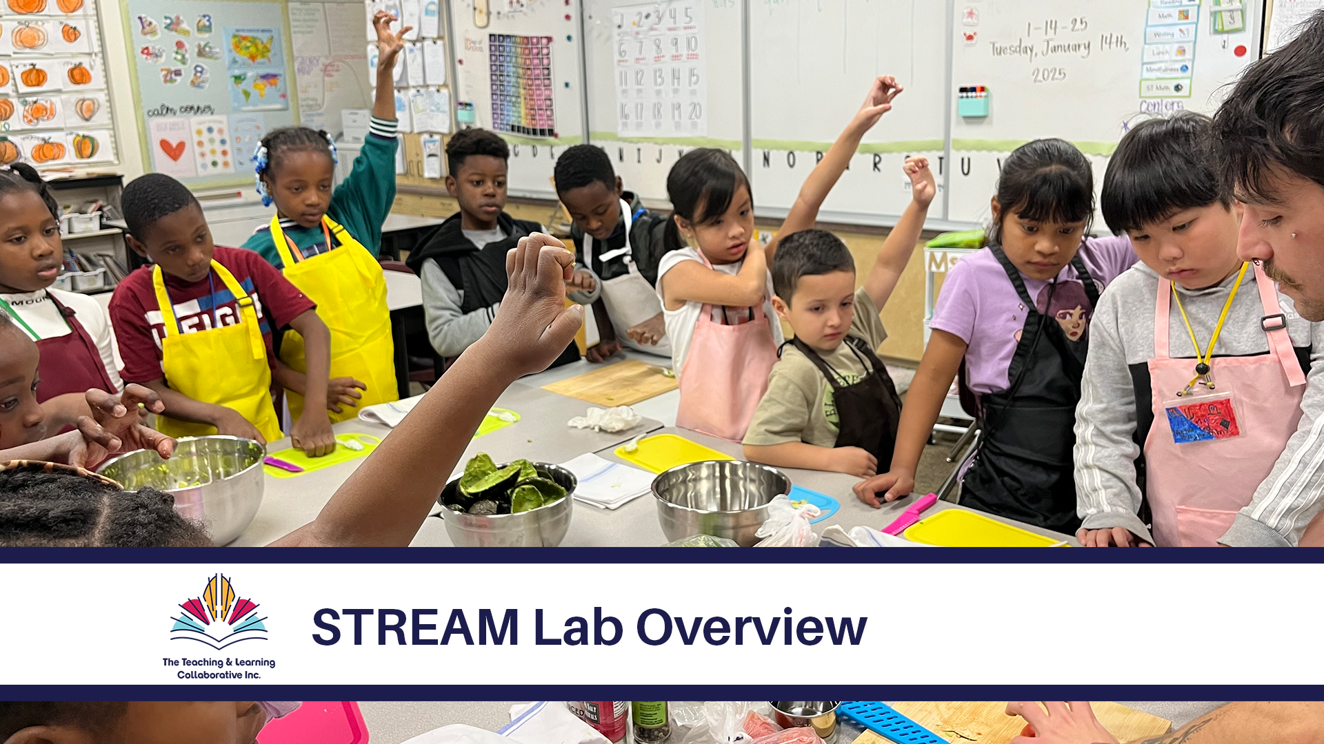 Videos | Learn More Today — Teaching & Learning Collaborative Inc.