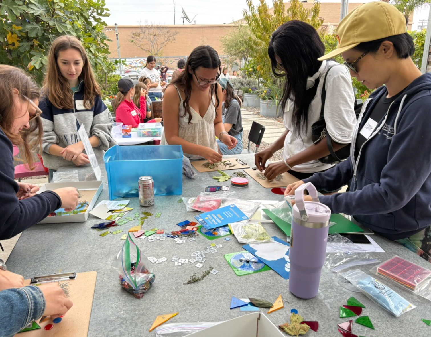 Stream Learning Activity Programs - Family STREAM — Teaching & Learning Collaborative Inc.