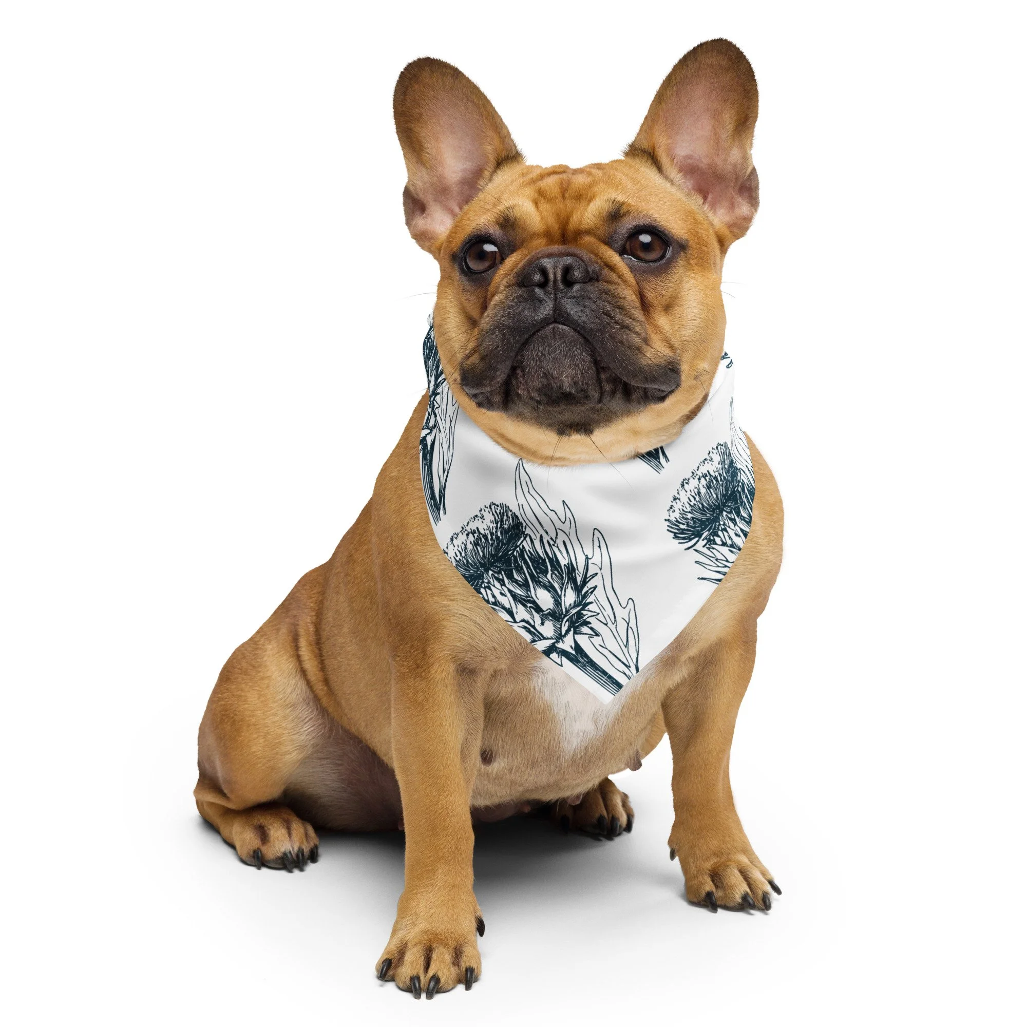 all-over-print-bandana-white-s-front-66c480e2252e7.jpg