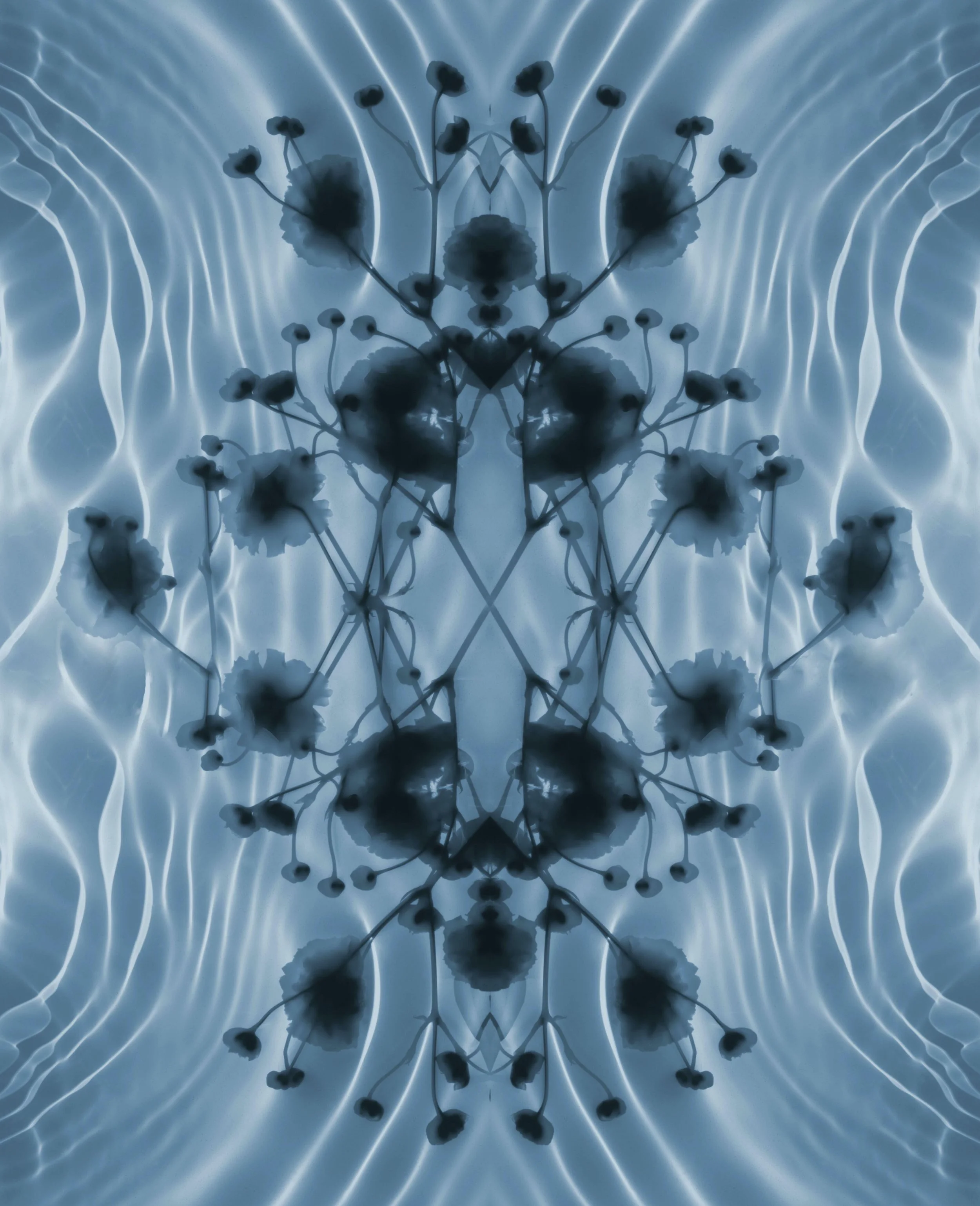 Myriad Reflections.jpg