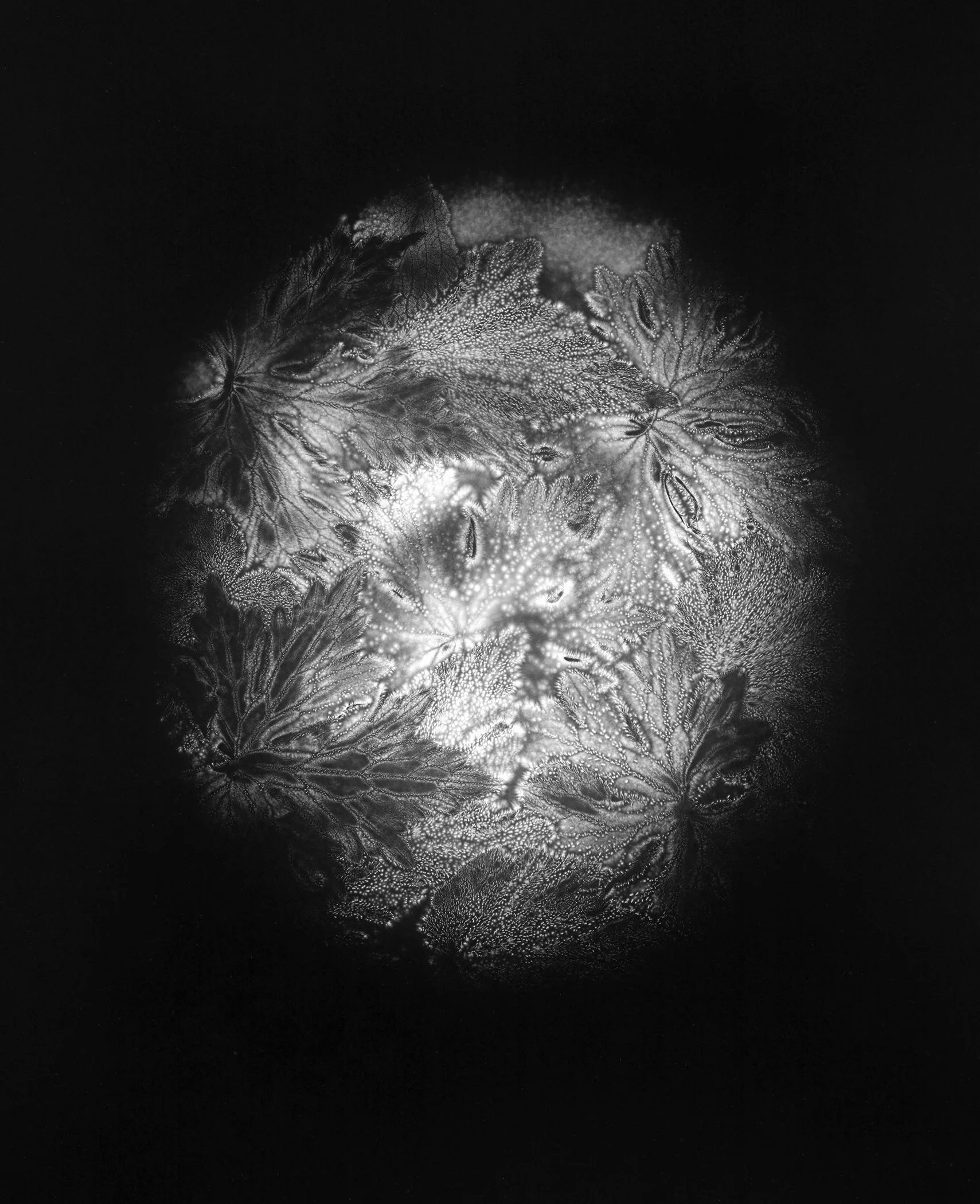 2100 px working copy world kirlian.jpg