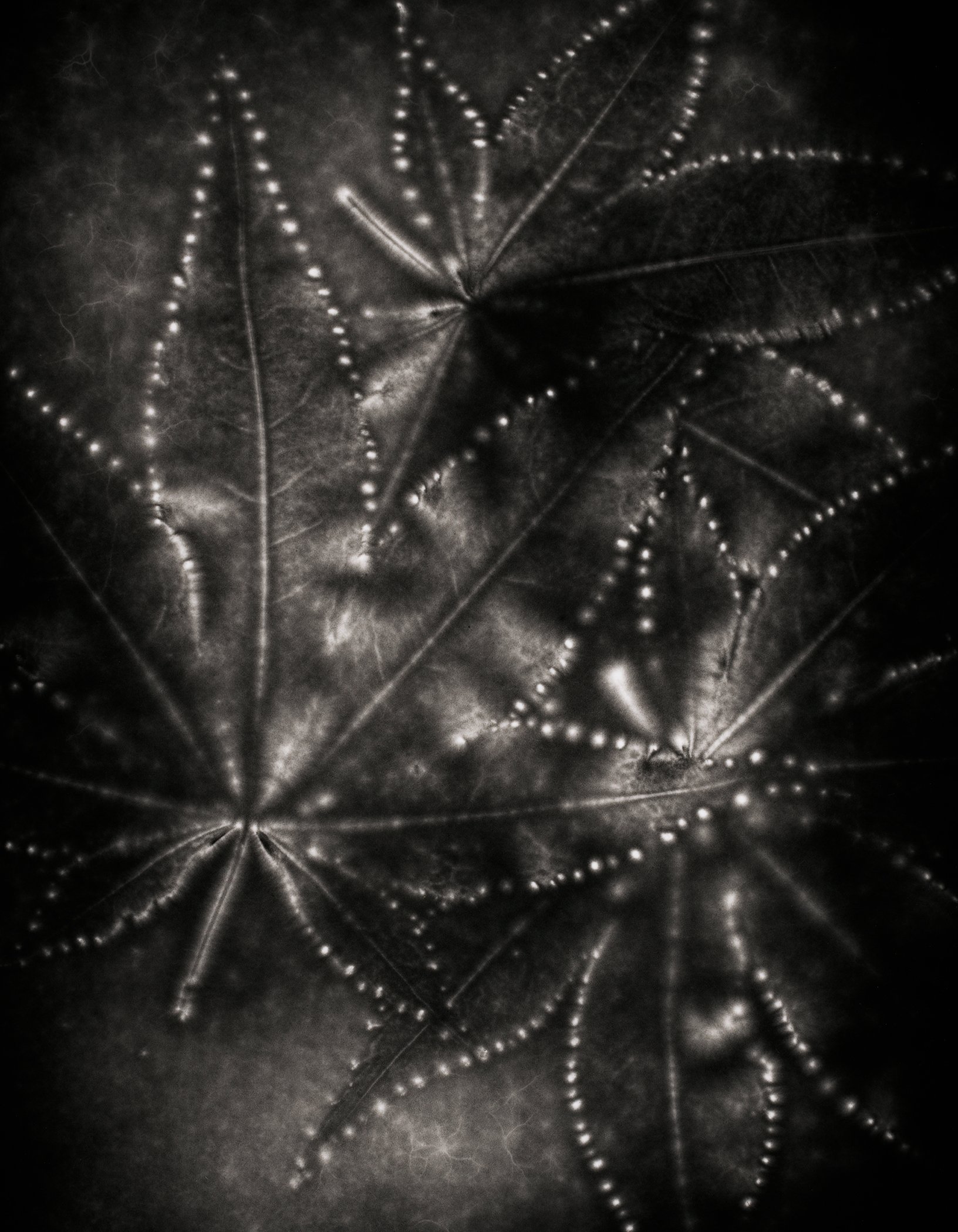 A Spell That Binds Us.jpg
