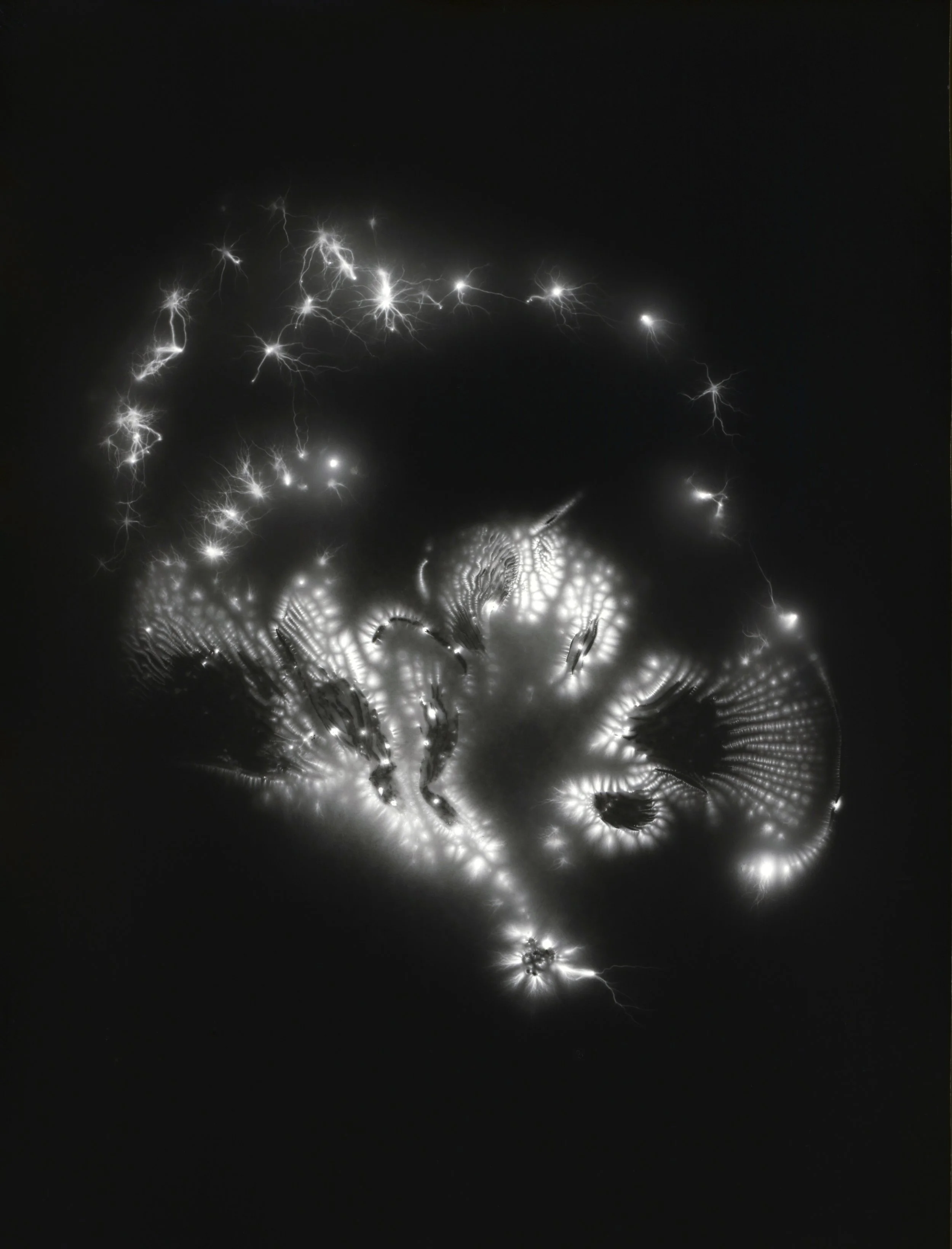 kirlian foma 10.jpg pink oyster .jpg