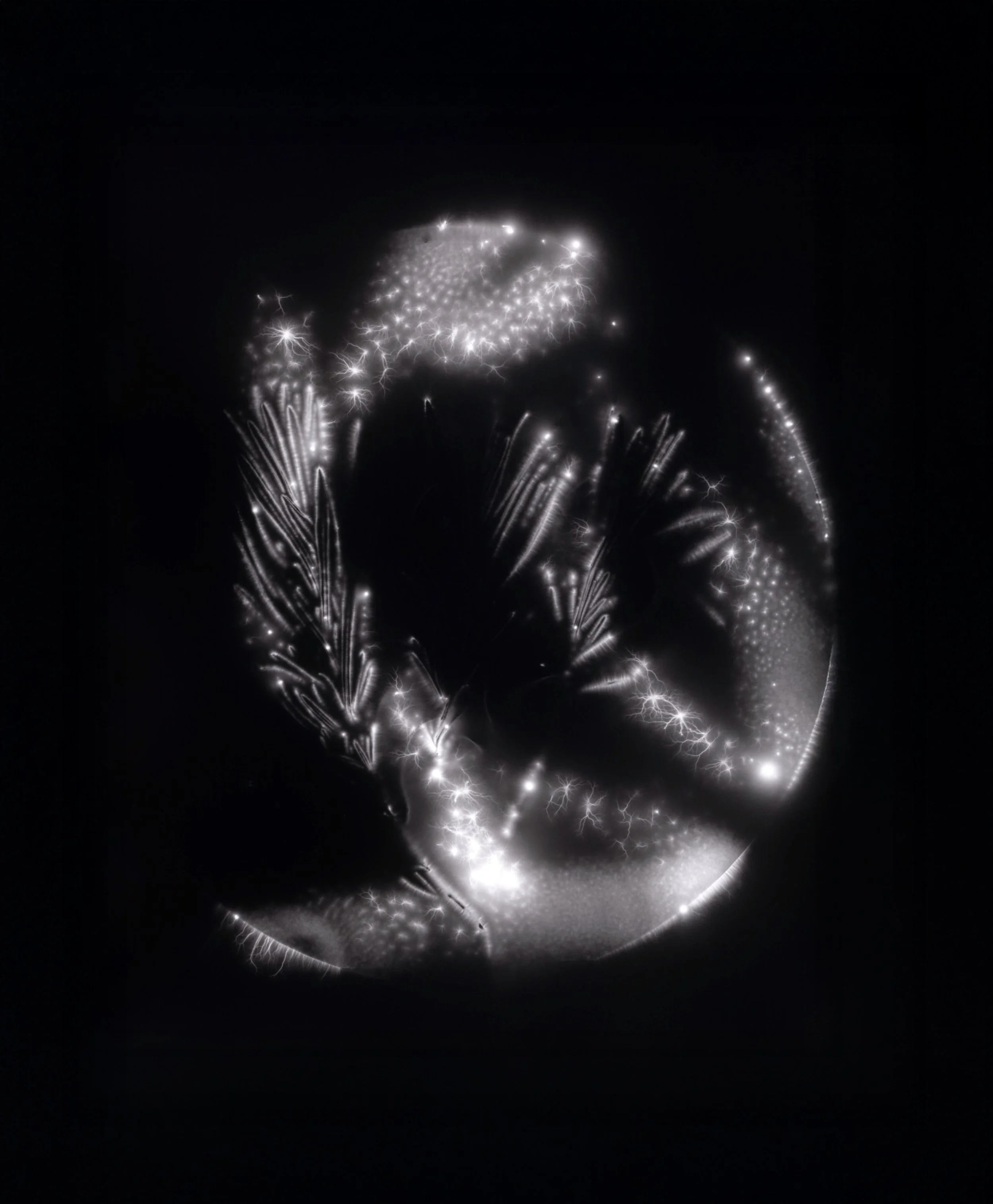 foma 131.tif #1 jpeg.jpg