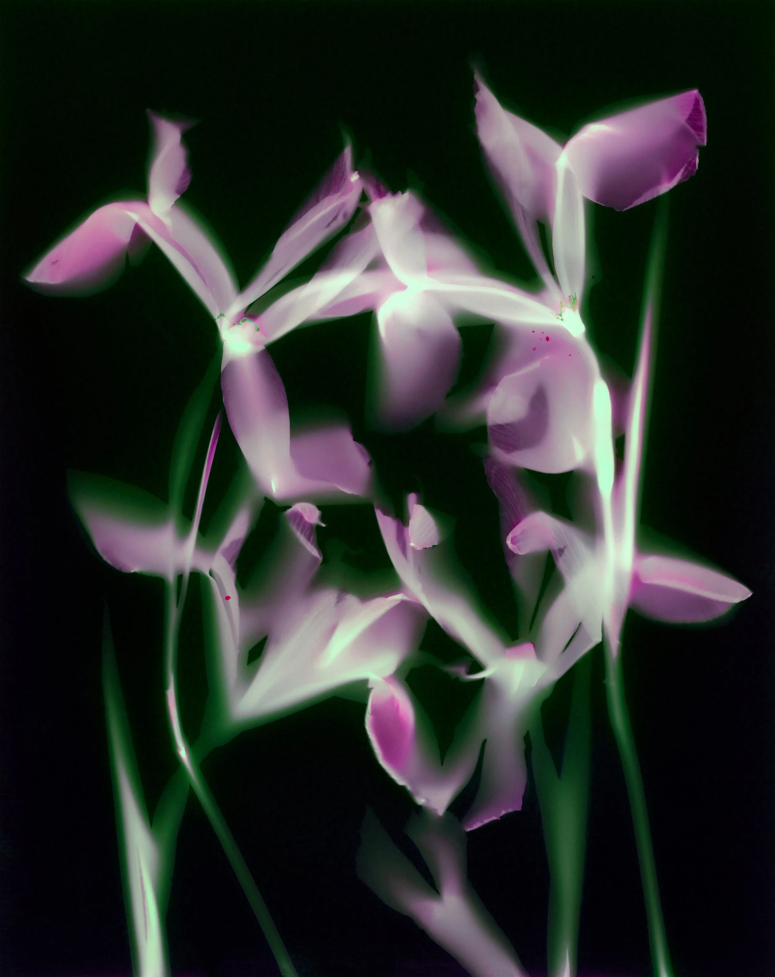 Lumens