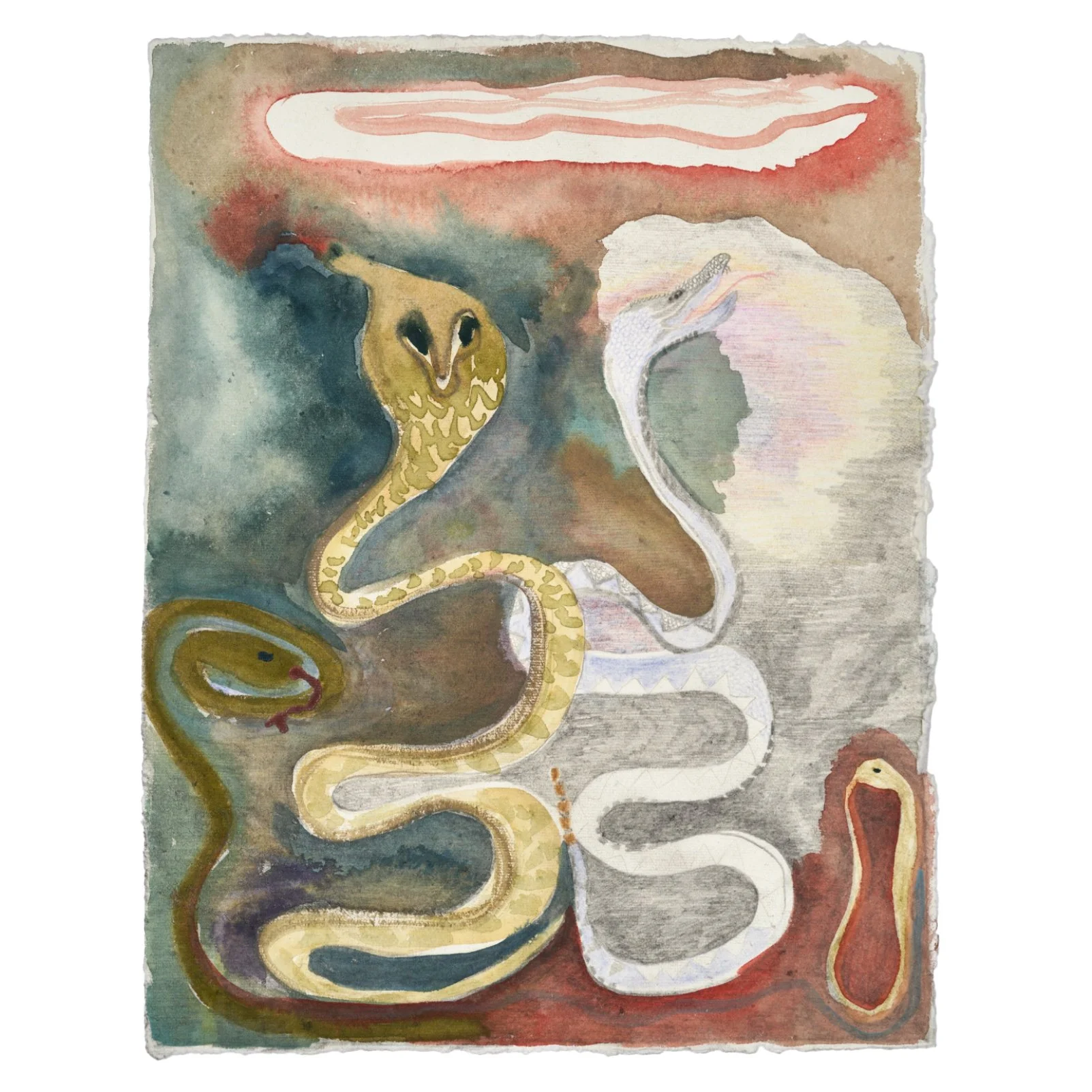 snakes 12”x16” water color and pencil on paper.jpg