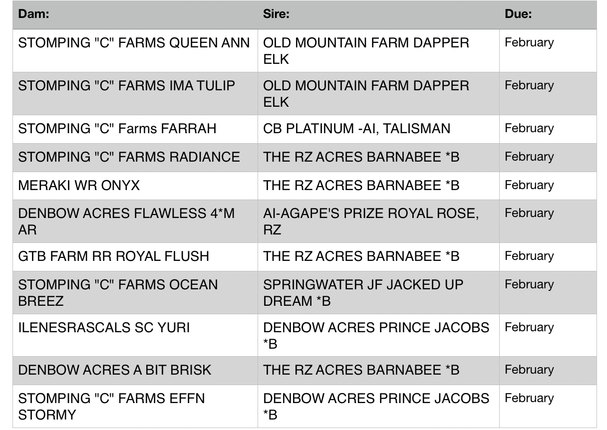 Breeding Schedule Stomping C Farms breeding-schedule-stomping-c-farms