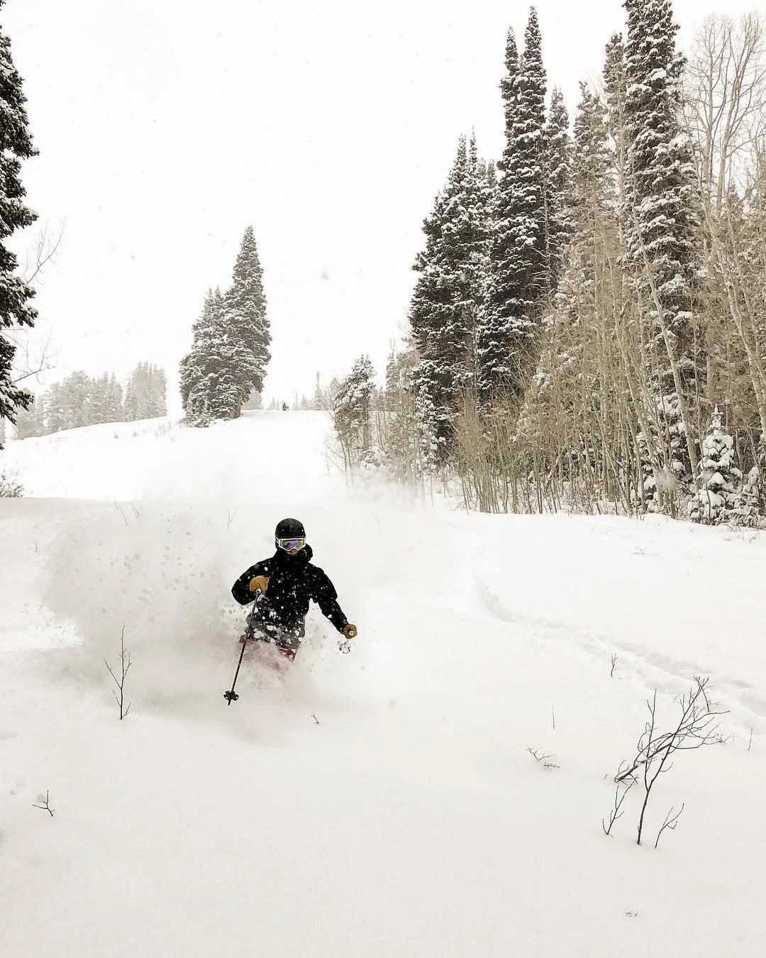 Early bird got the worm this morning... super fun day at @solitudemtn with all this beautiful new snow we just got. | #spreadstoke #solitudemountain | Skier: @kevinhsmitty PC: @casadillaslim