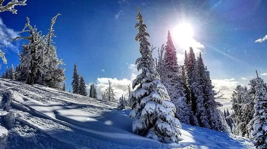 🙌❄️ Yes, we love blue bird pow days as much as @daverosen1 ... great shot Dave, thanks for sharing! 
#spreadstoke #bluebird #powder #skiing #snowboarding
