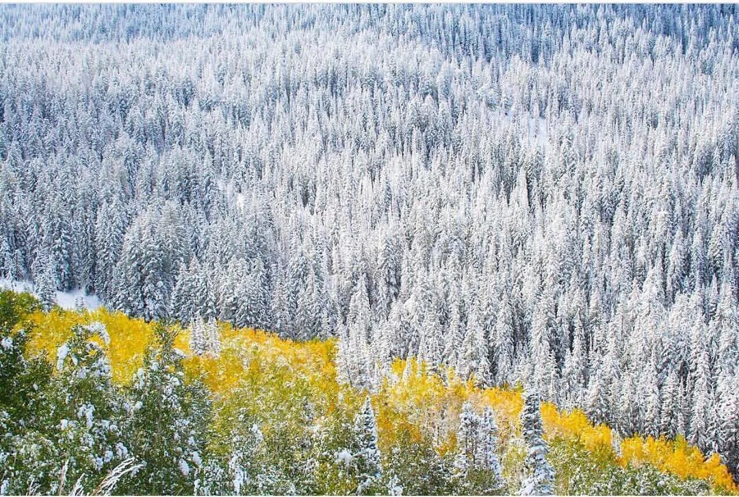 And so it begins... our #WasatchCrushWednesday is dedicated to this stunning shot by @seventhdayadventurist 🏔
.
We&rsquo;re celebrating the coming Winter 2018 season! Tag your best ⛷ &amp; 🏂 with #SpreadStoke to be featured on our feed this month. 