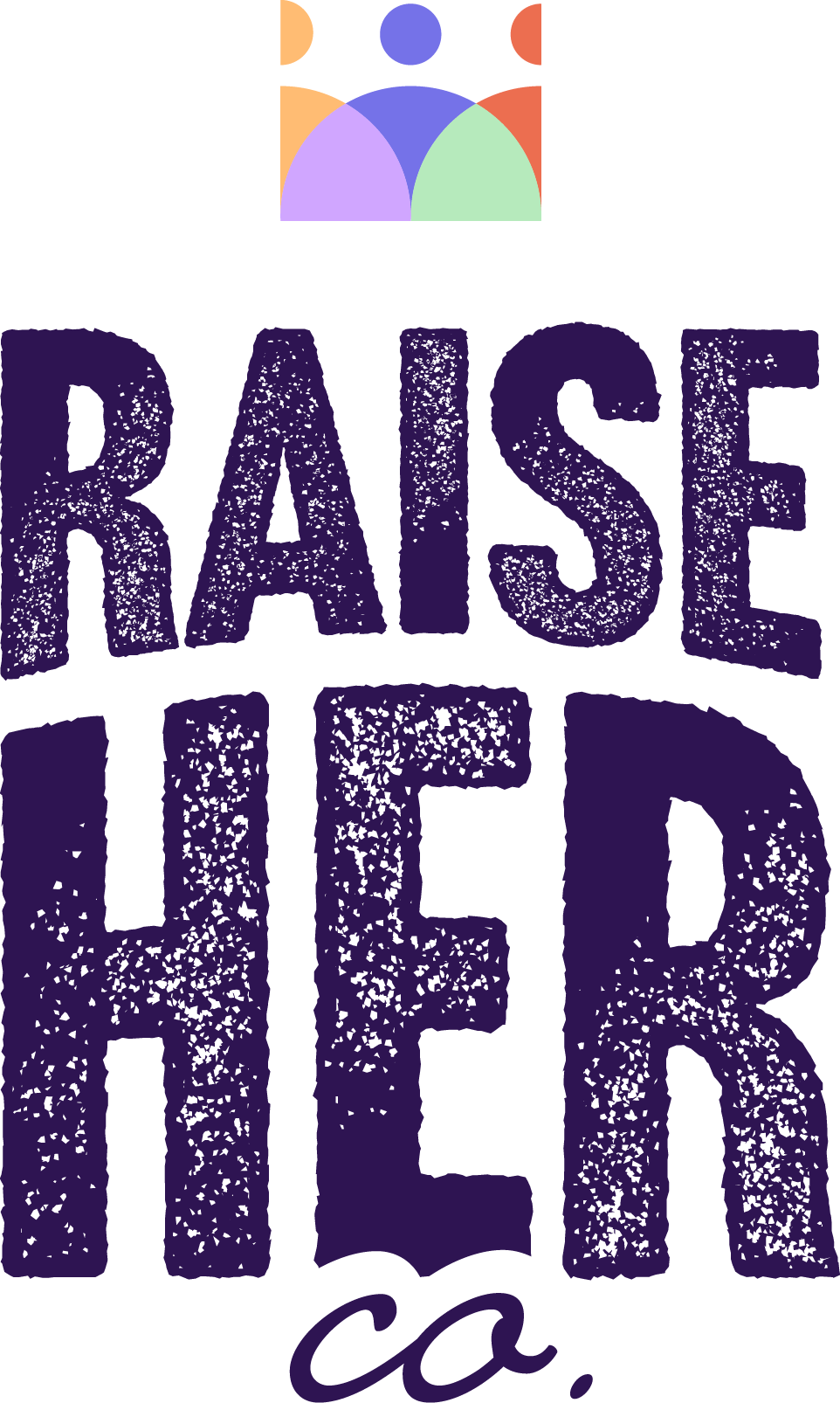 Stylized text reading "Raise the Bar" in large purple letters with a small purple cursive "co." at the bottom, set against a black background, with a colorful geometric logo at the top consisting of overlapping semicircles and circles in orange, purple, green, and blue.