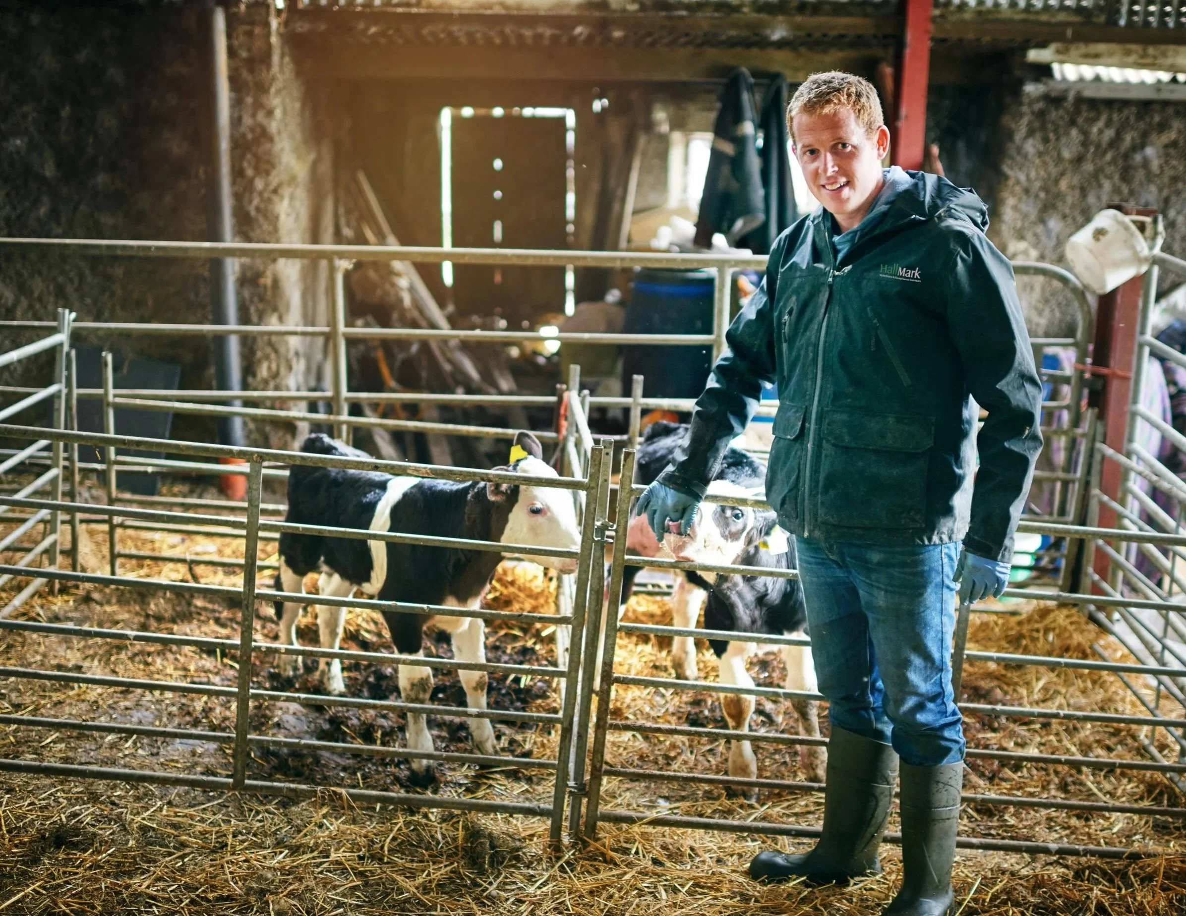 Senior Veterinary Inspector - Cornwall