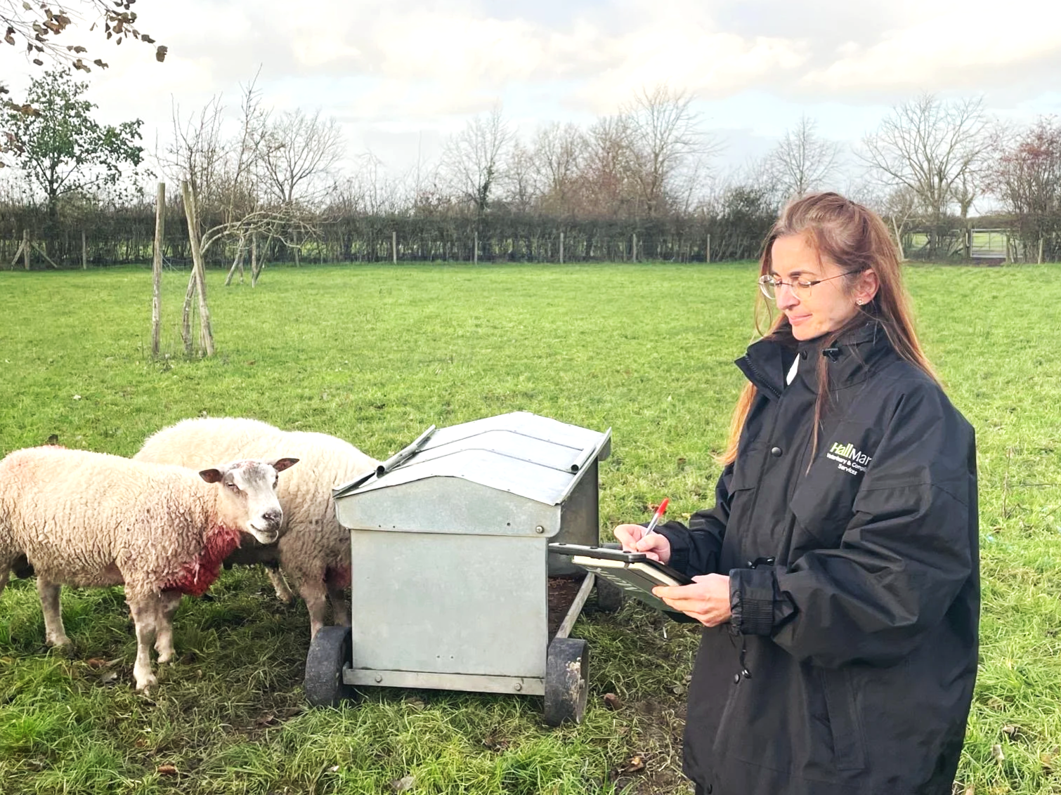 Senior Veterinary Inspector - Bury St Edmunds