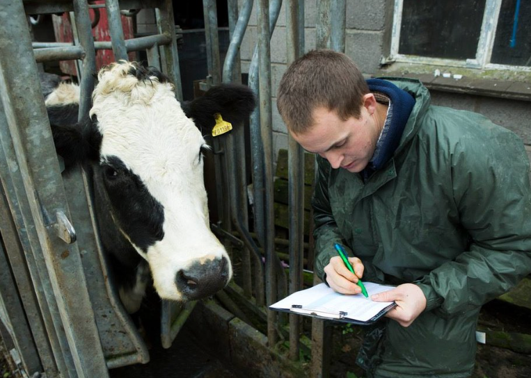 Veterinary Opportunities in Animal Health - Talent Pool