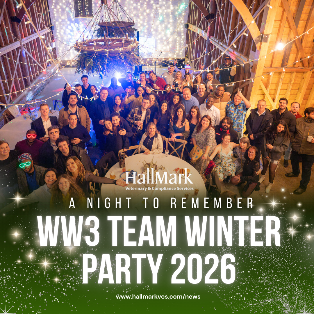 WW3 Team Winter Party 2026 – A Night to Remember