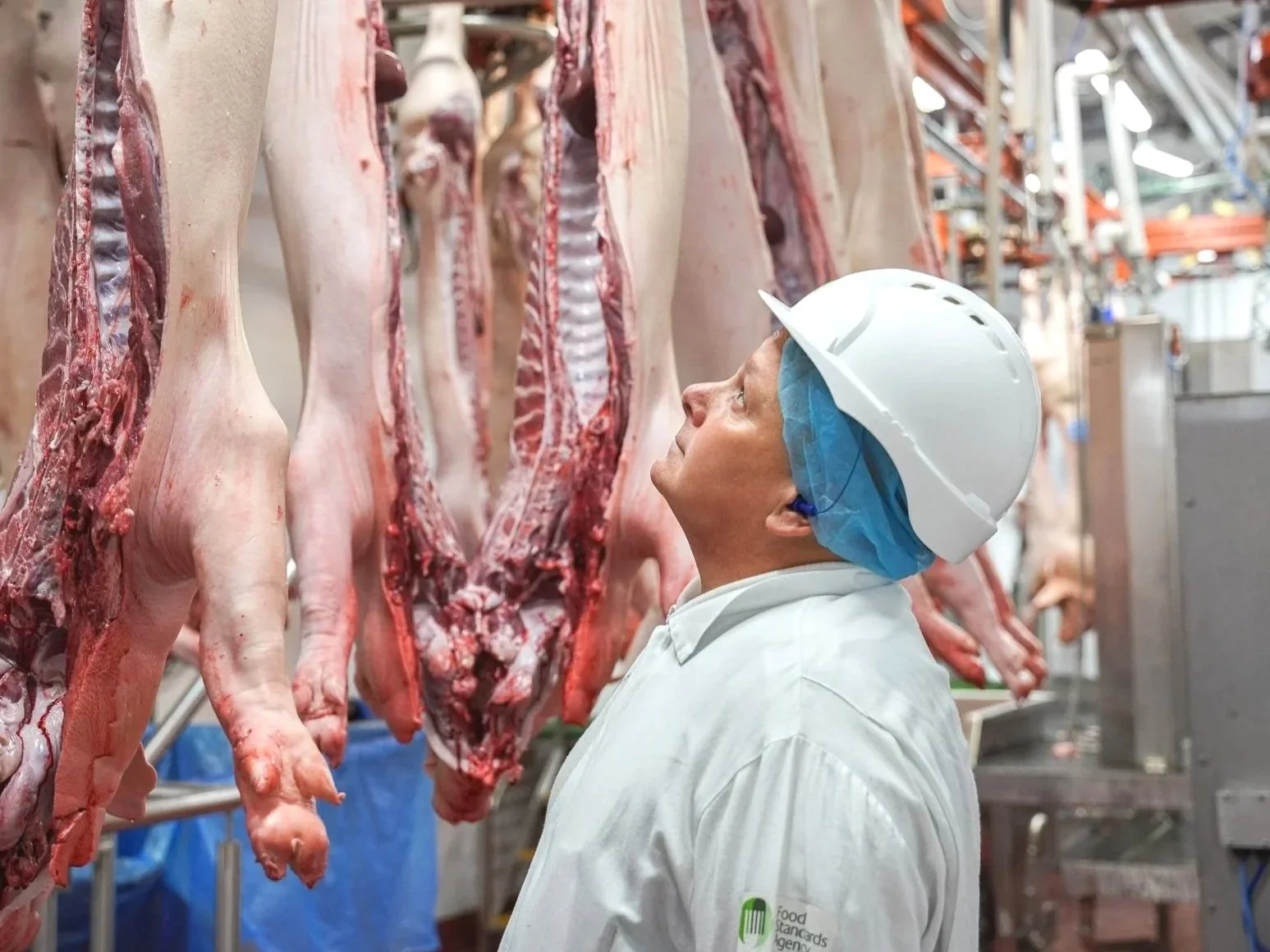 Meat Hygiene Inspector – Bristol